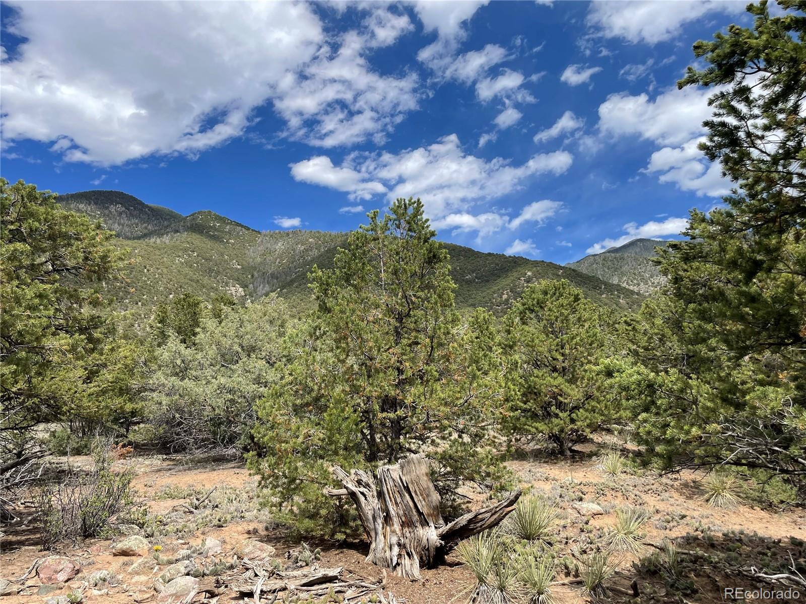 4286 Fallen Tree Property Photo 1