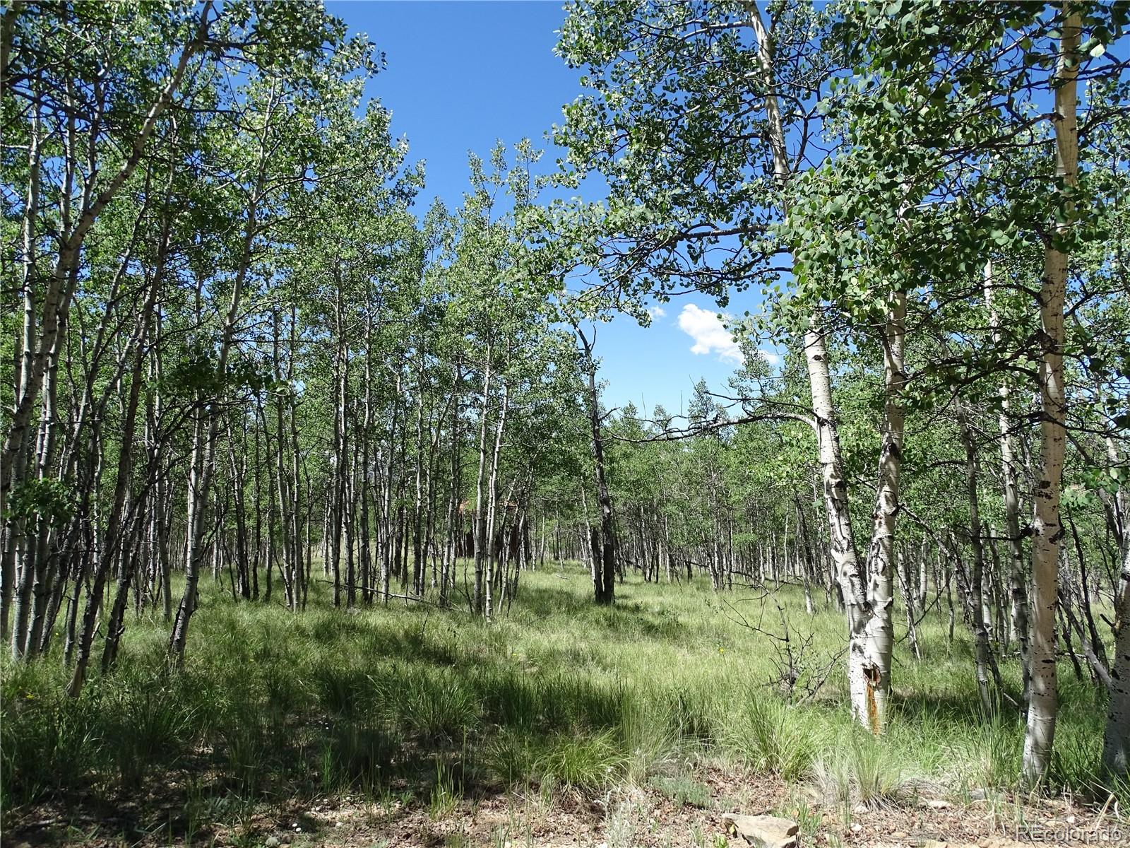 782 Bowstring Road Property Photo 1