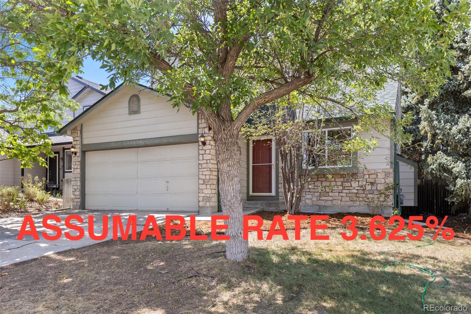 12039 Forest Street Property Photo 1