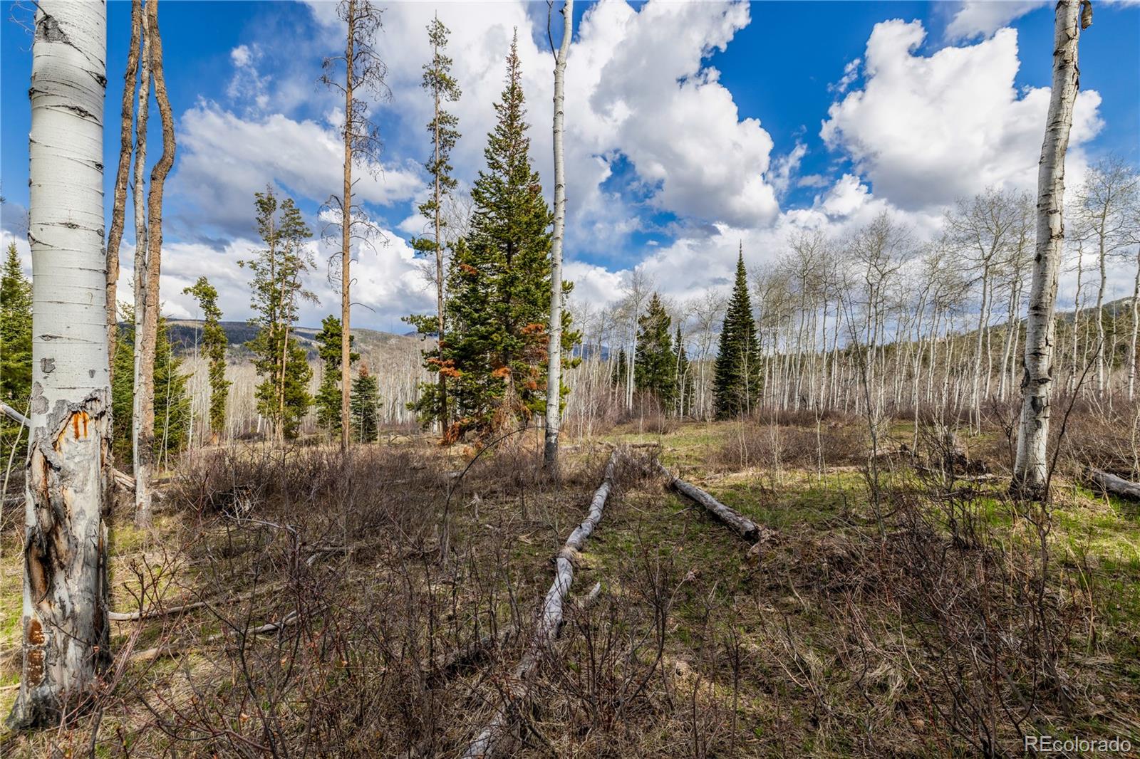 Lot 18 Sky Hitch Iv Property Photo 9