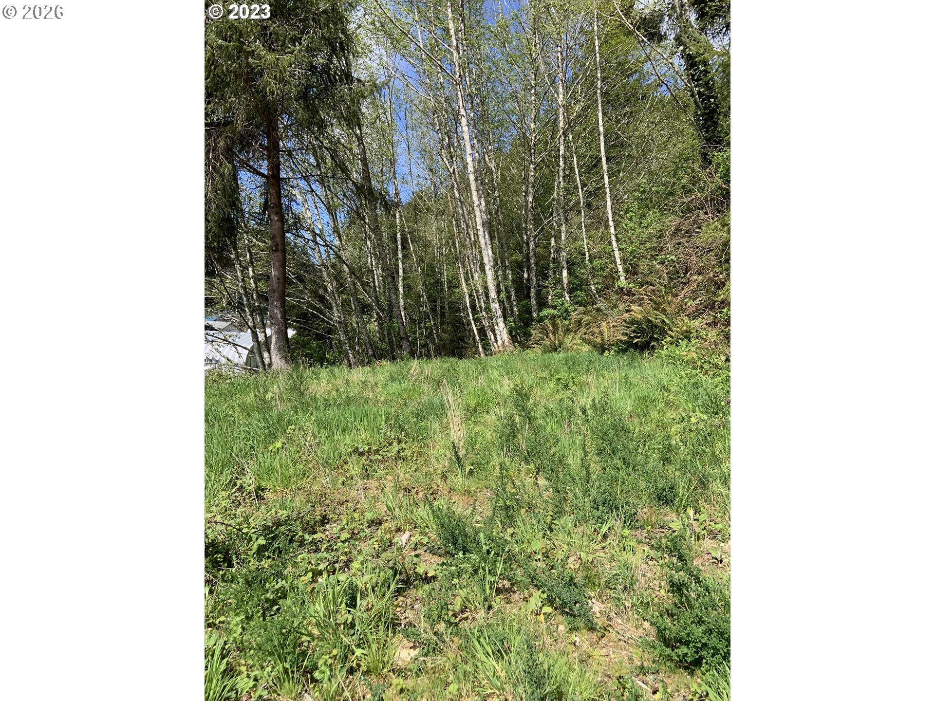 600 Clearlake Ave Property Photo 4