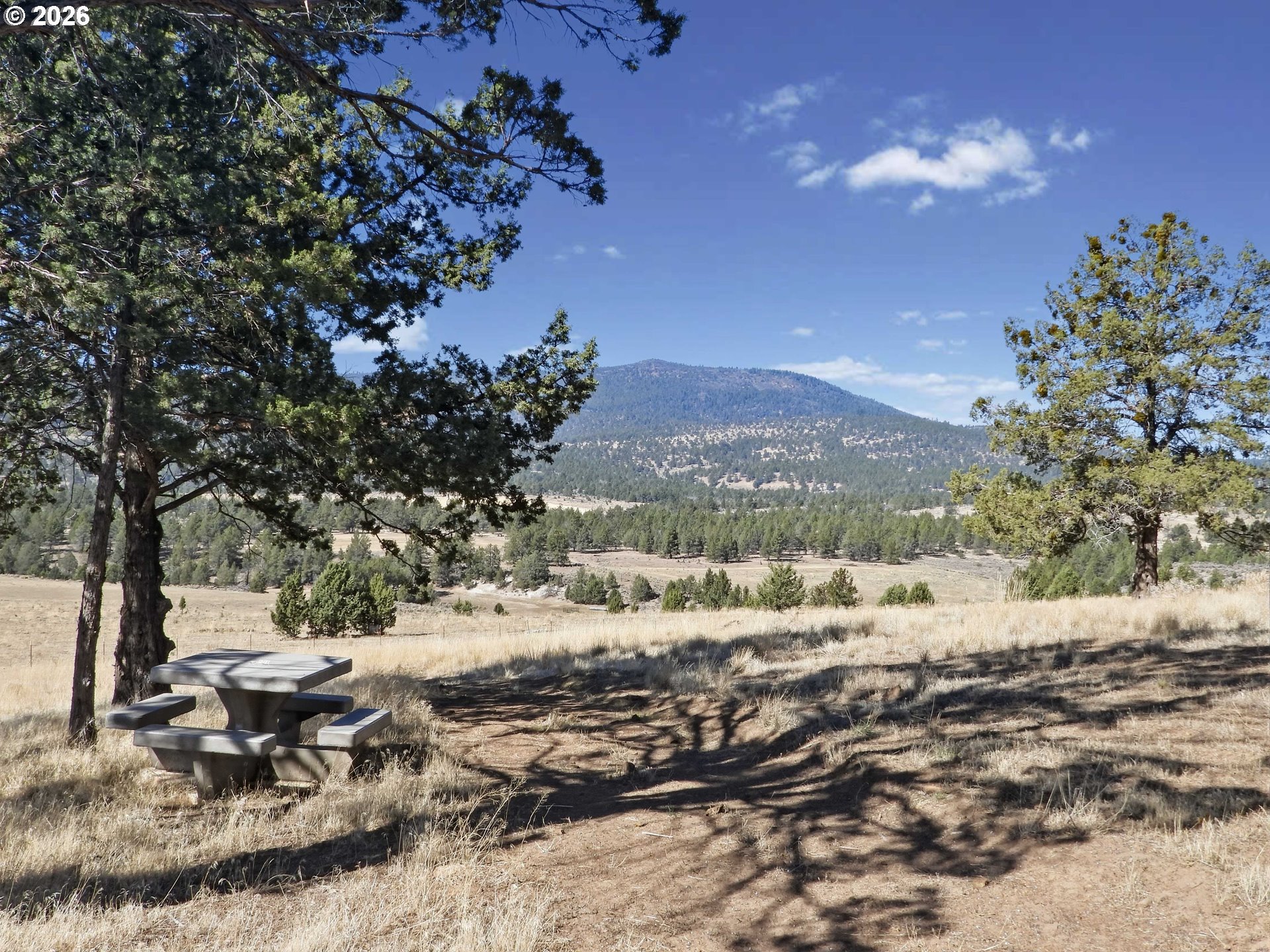 17232 Dodds Hollow Rd Property Photo 6