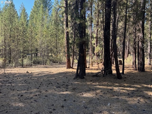 Green Forest DR Lot 3 Property Photo 1