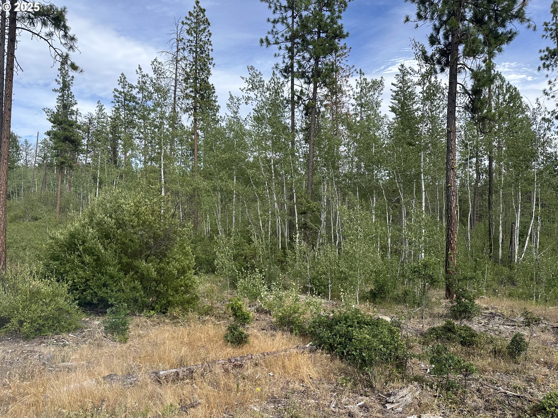 5 Greyback Mtn RD Property Photo 1