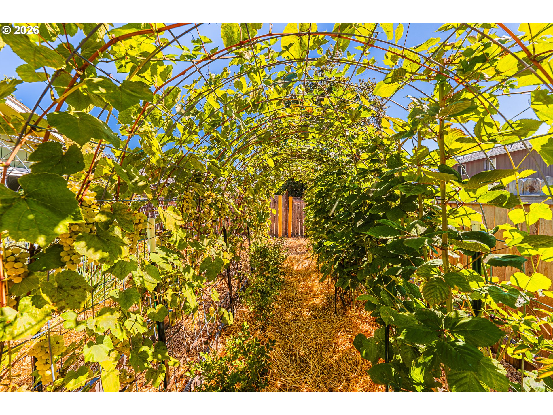 6323 B St Property Photo 26