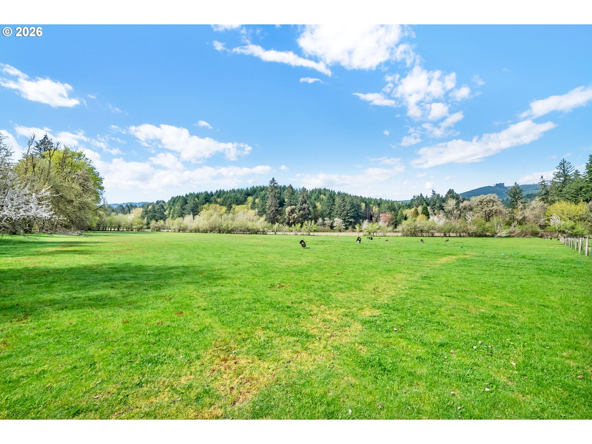 24022 Alpine Rd Property Photo 43