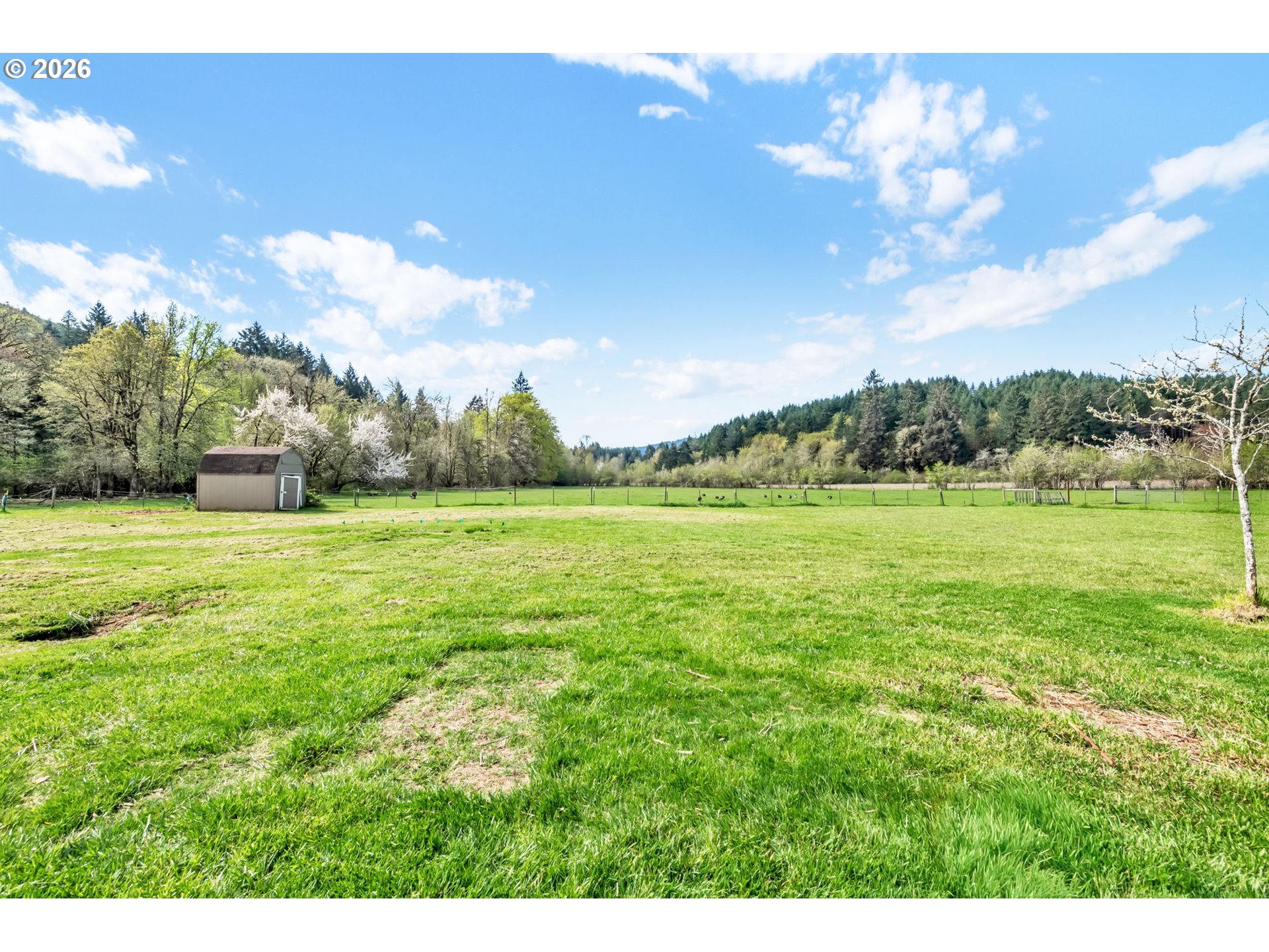 24022 Alpine Rd Property Photo 45