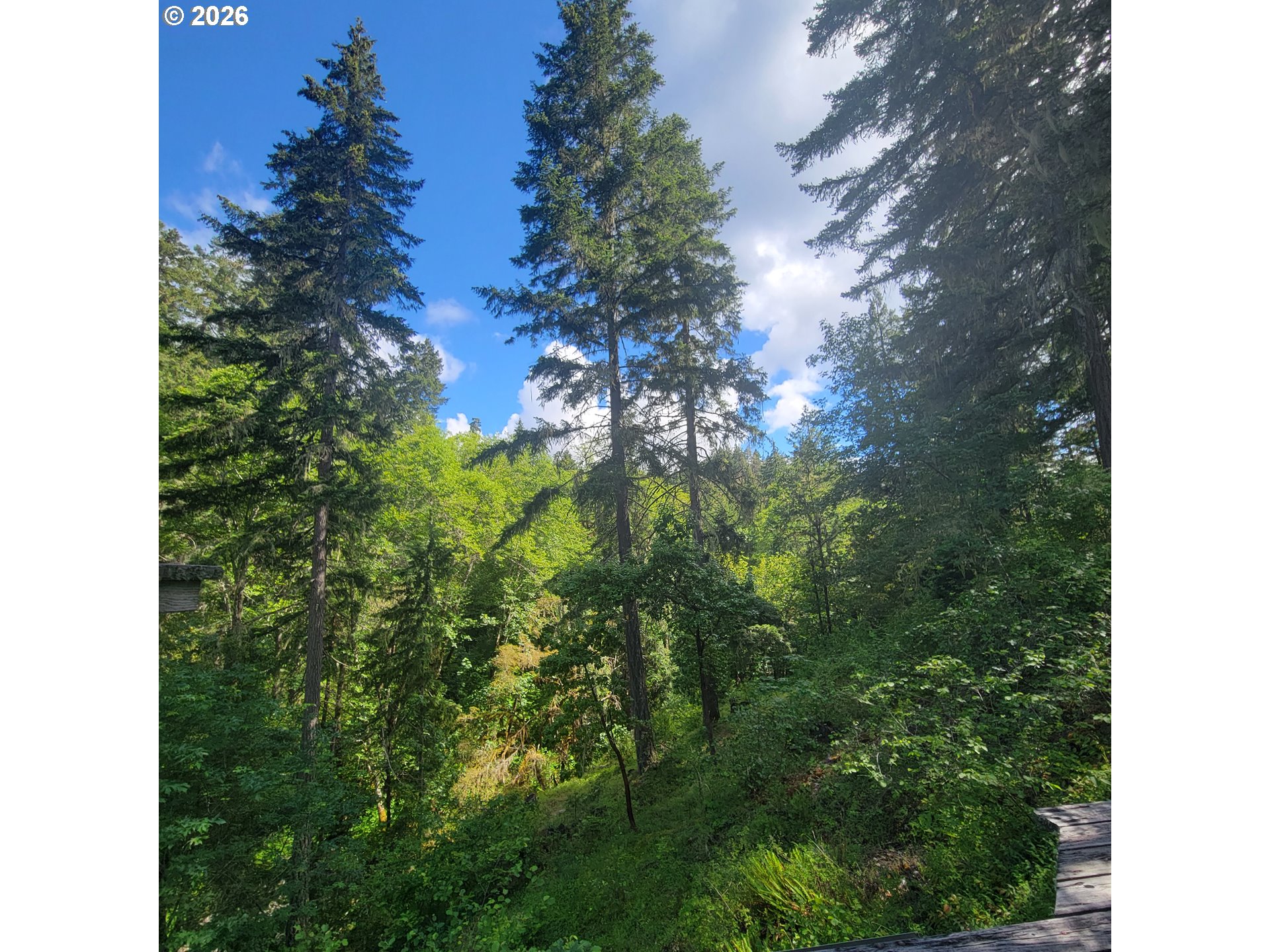 0 Rice Creek Rd Property Photo 13