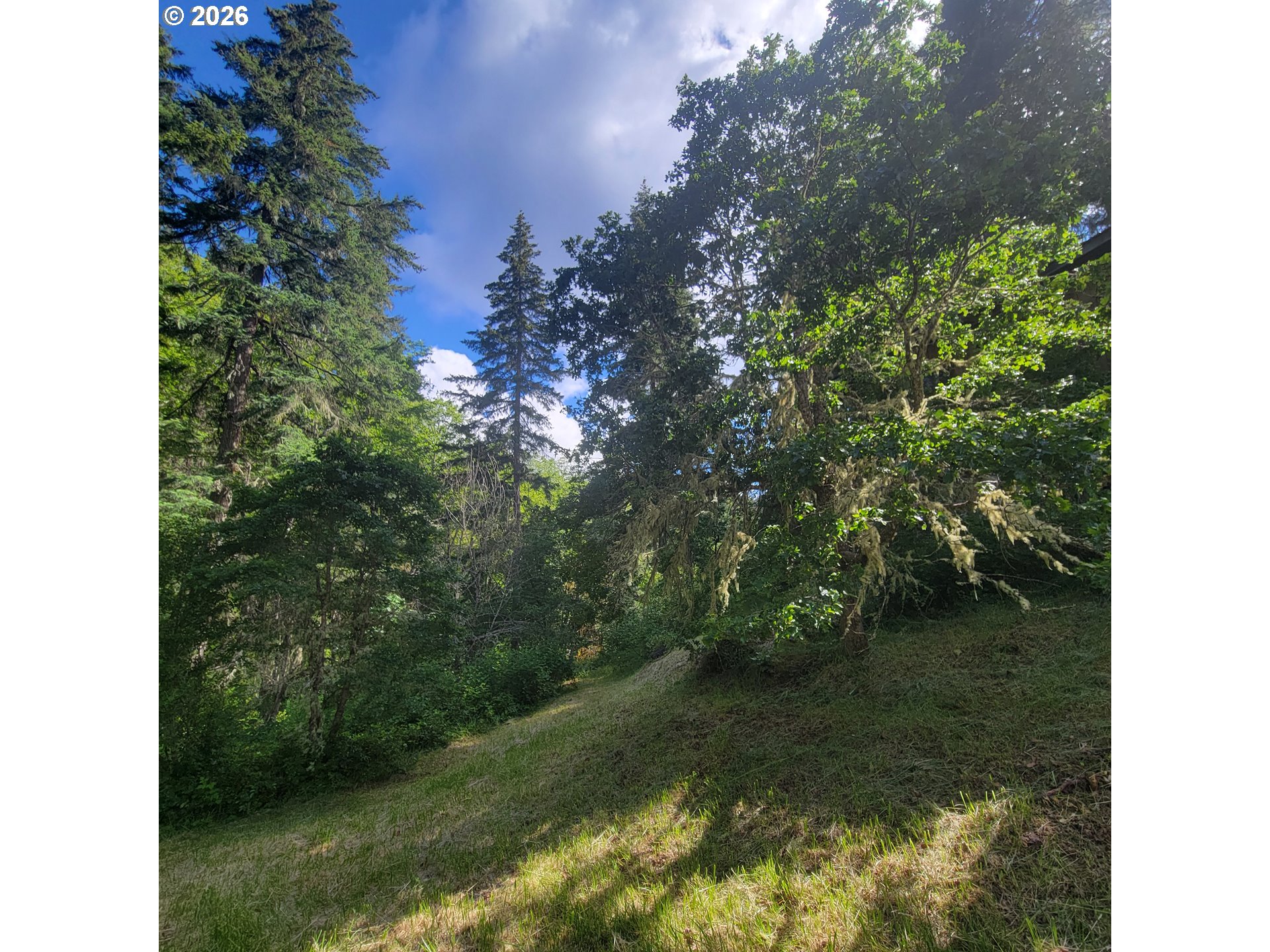0 Rice Creek Rd Property Photo 15
