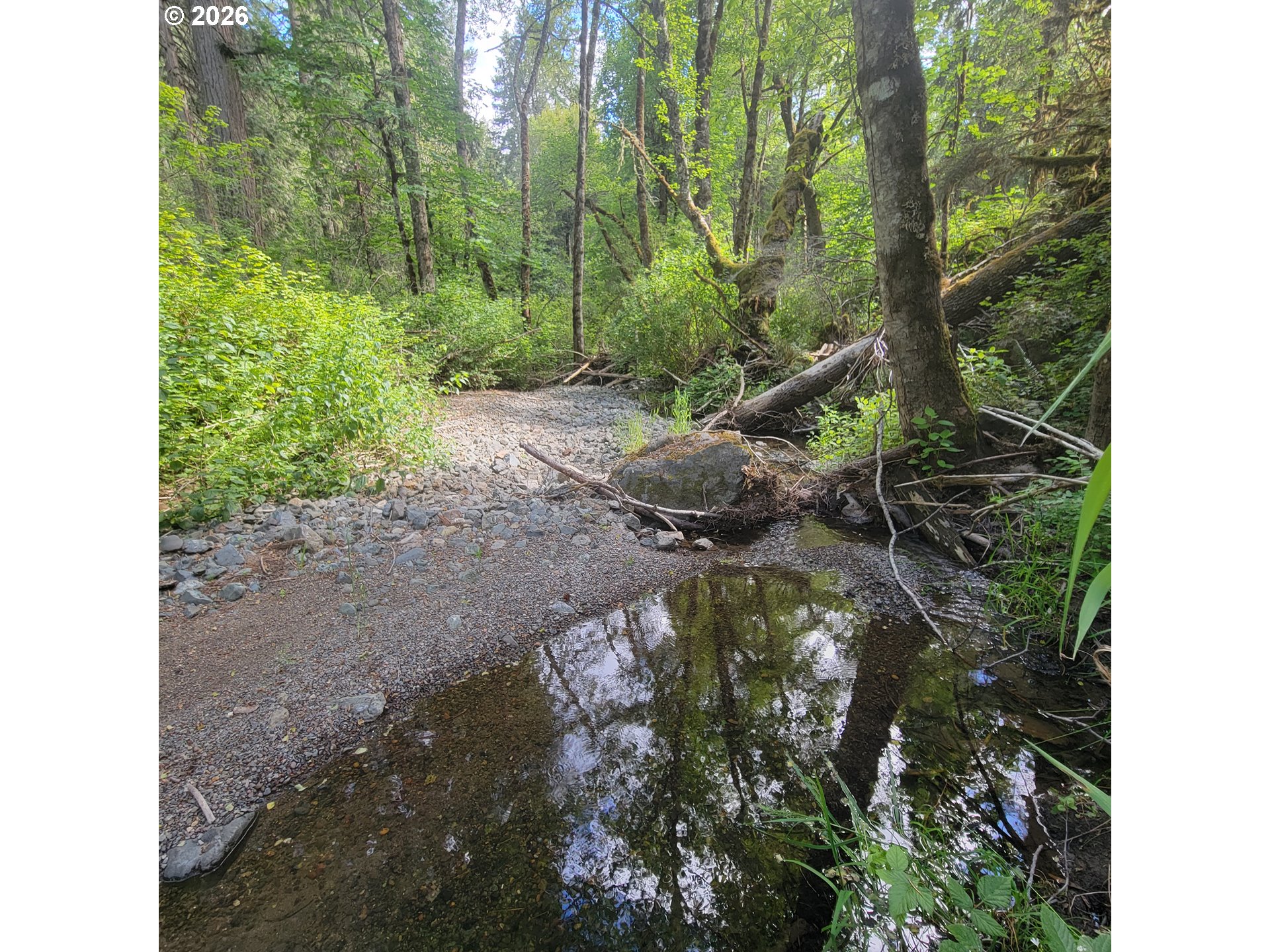 0 Rice Creek Rd Property Photo 17