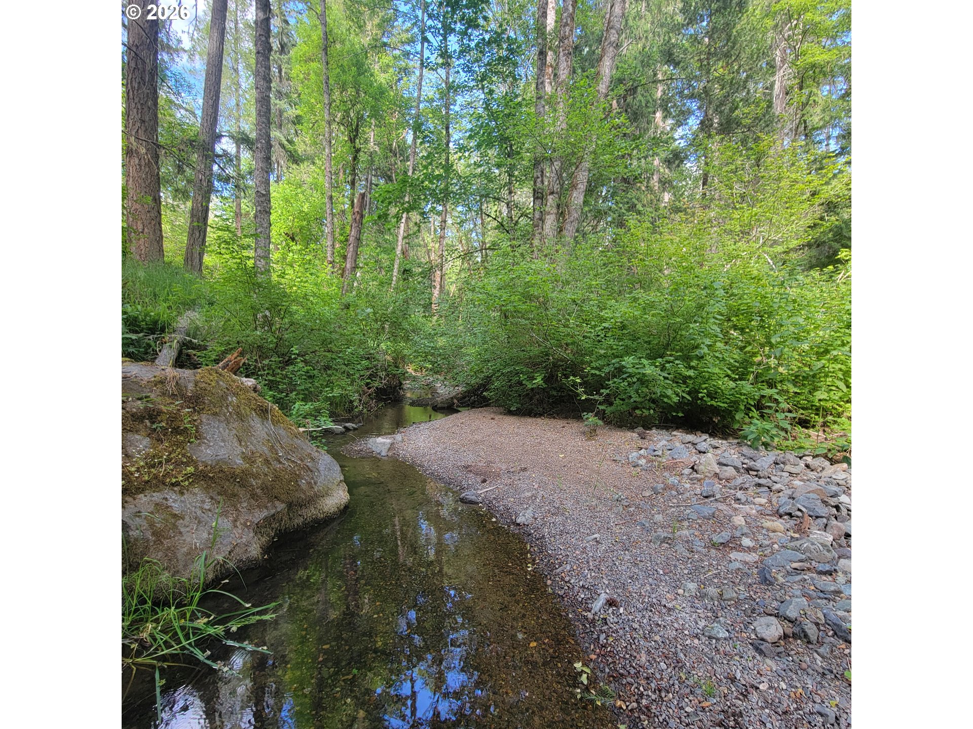 0 Rice Creek Rd Property Photo 18