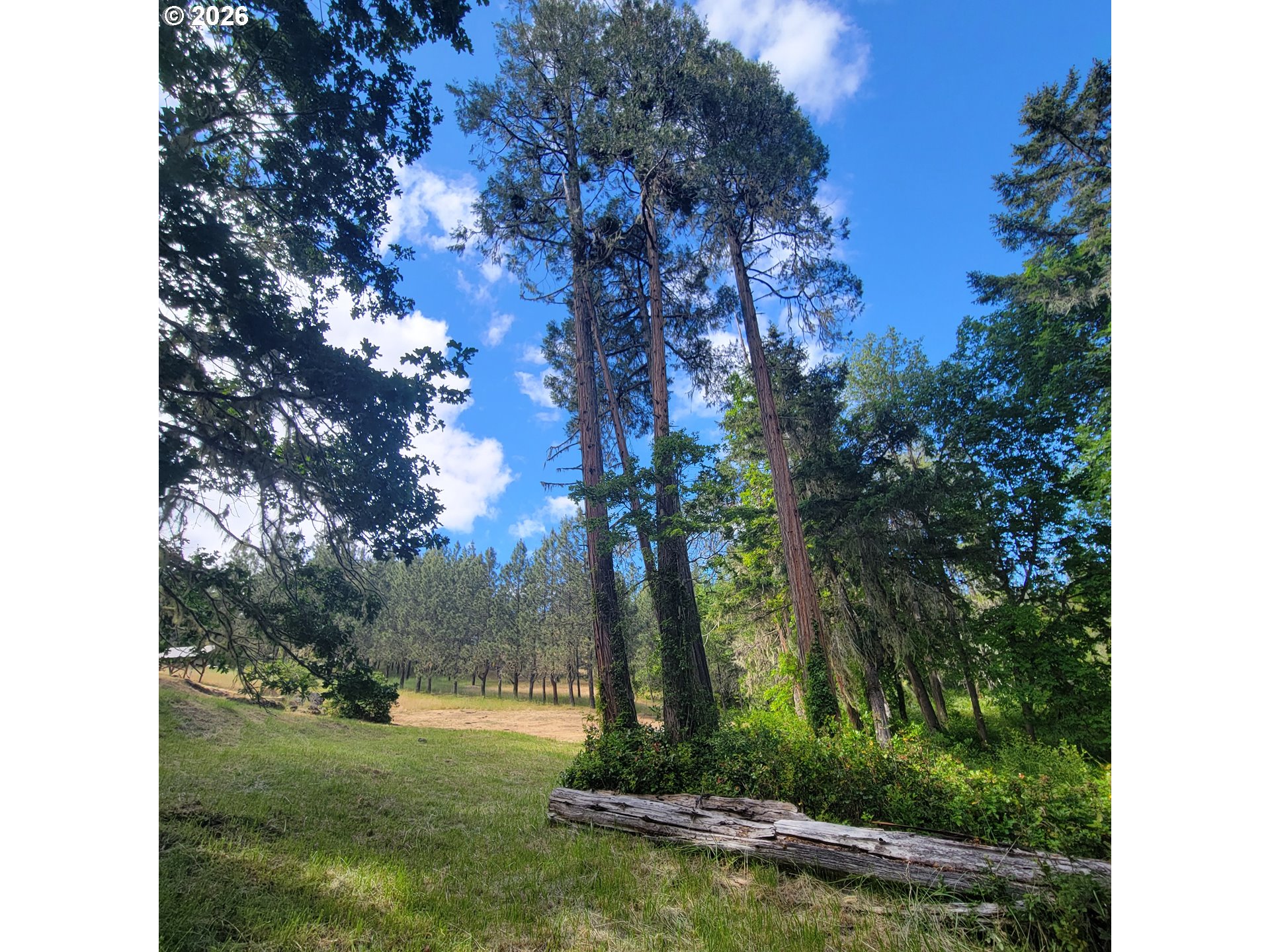 0 Rice Creek Rd Property Photo 19