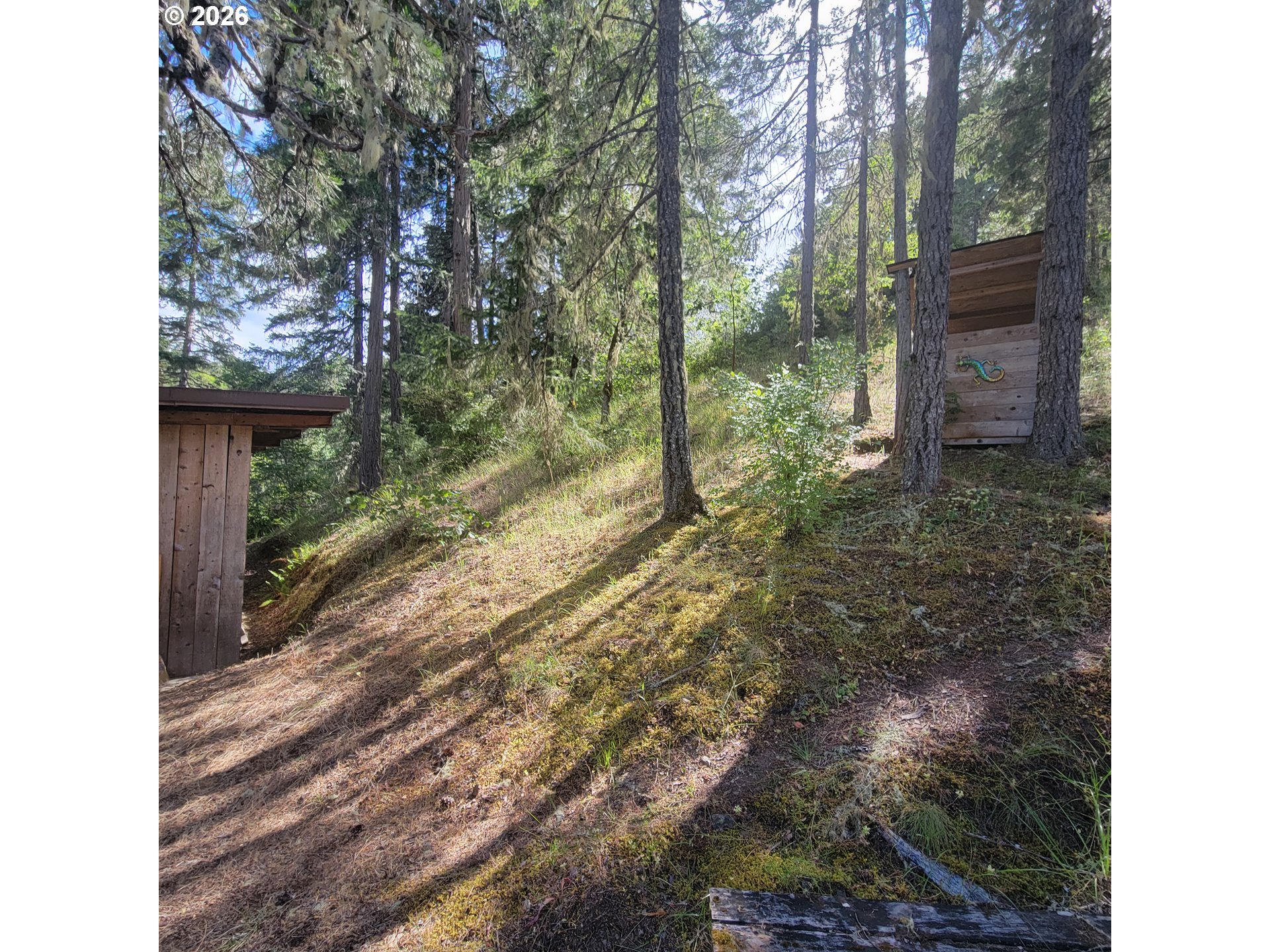 0 Rice Creek Rd Property Photo 36