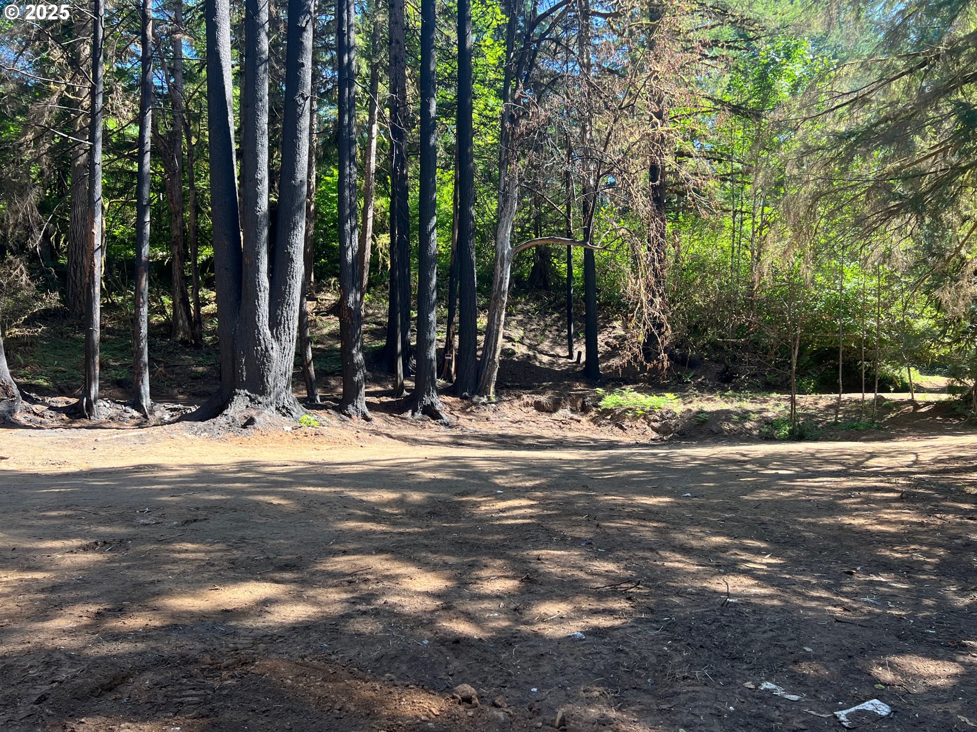 2536 Se Mannthey Rd Property Photo 4