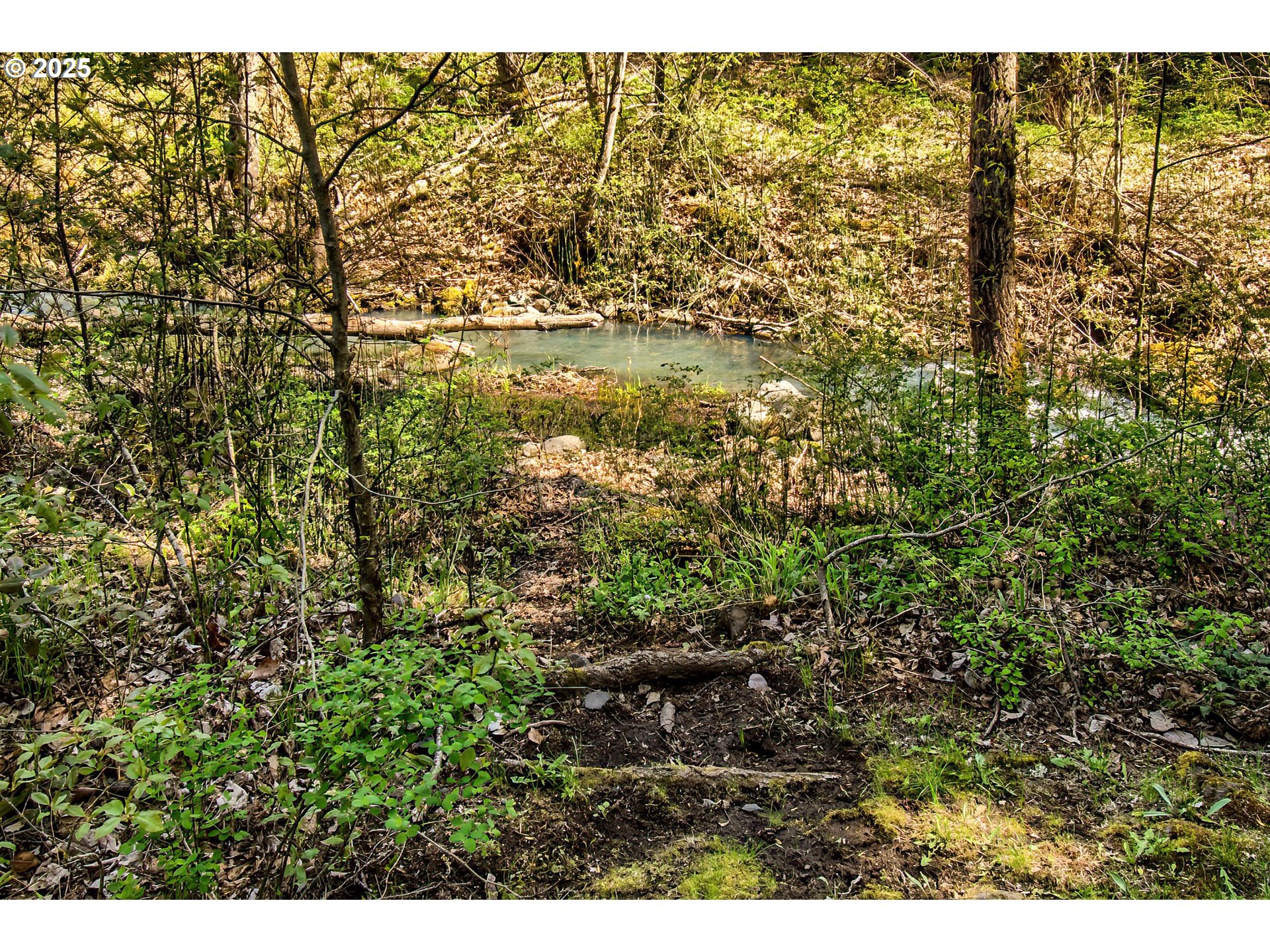 625 Wilson Rd Property Photo 28
