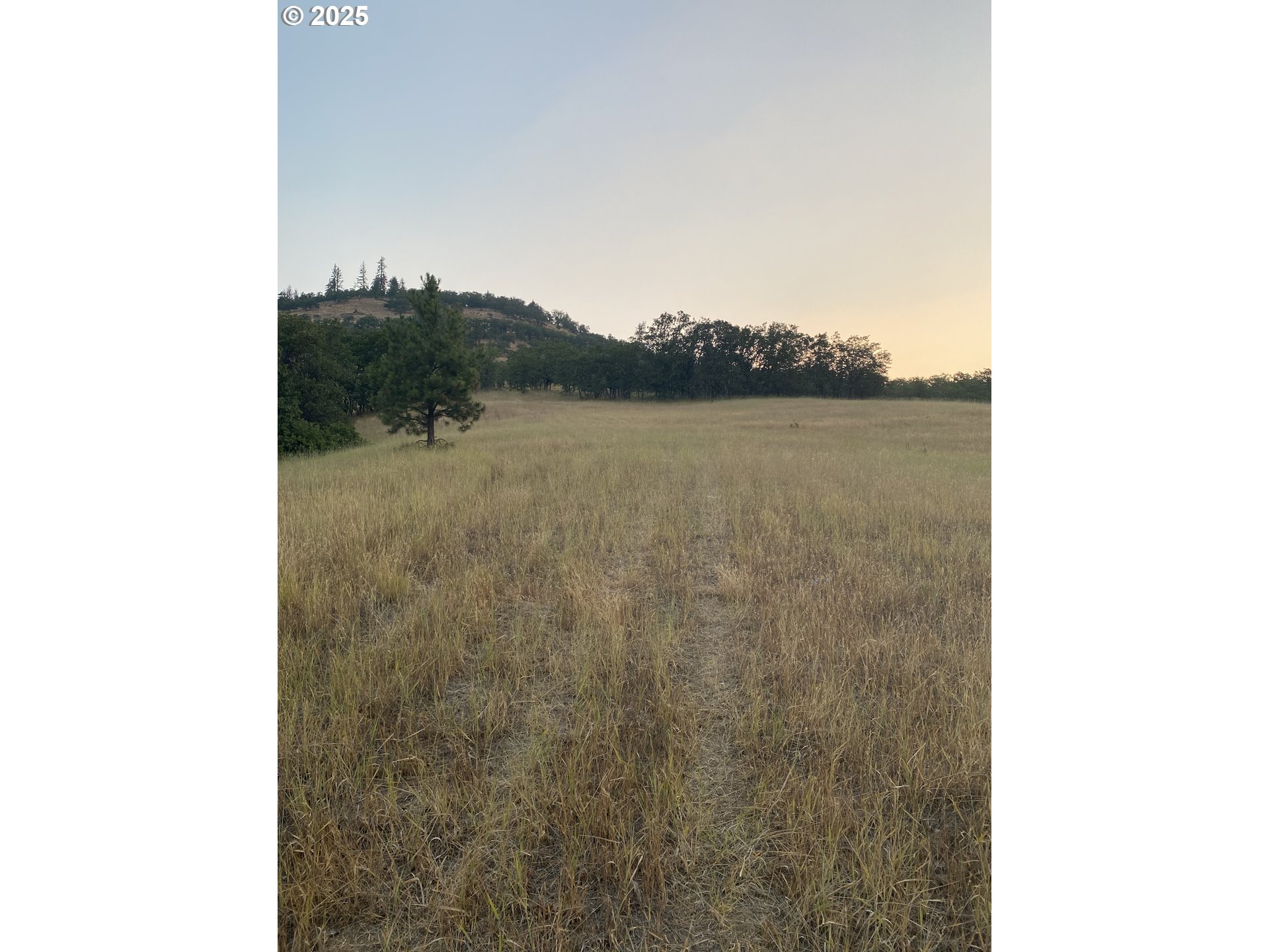 625 Wilson Rd Property Photo 37