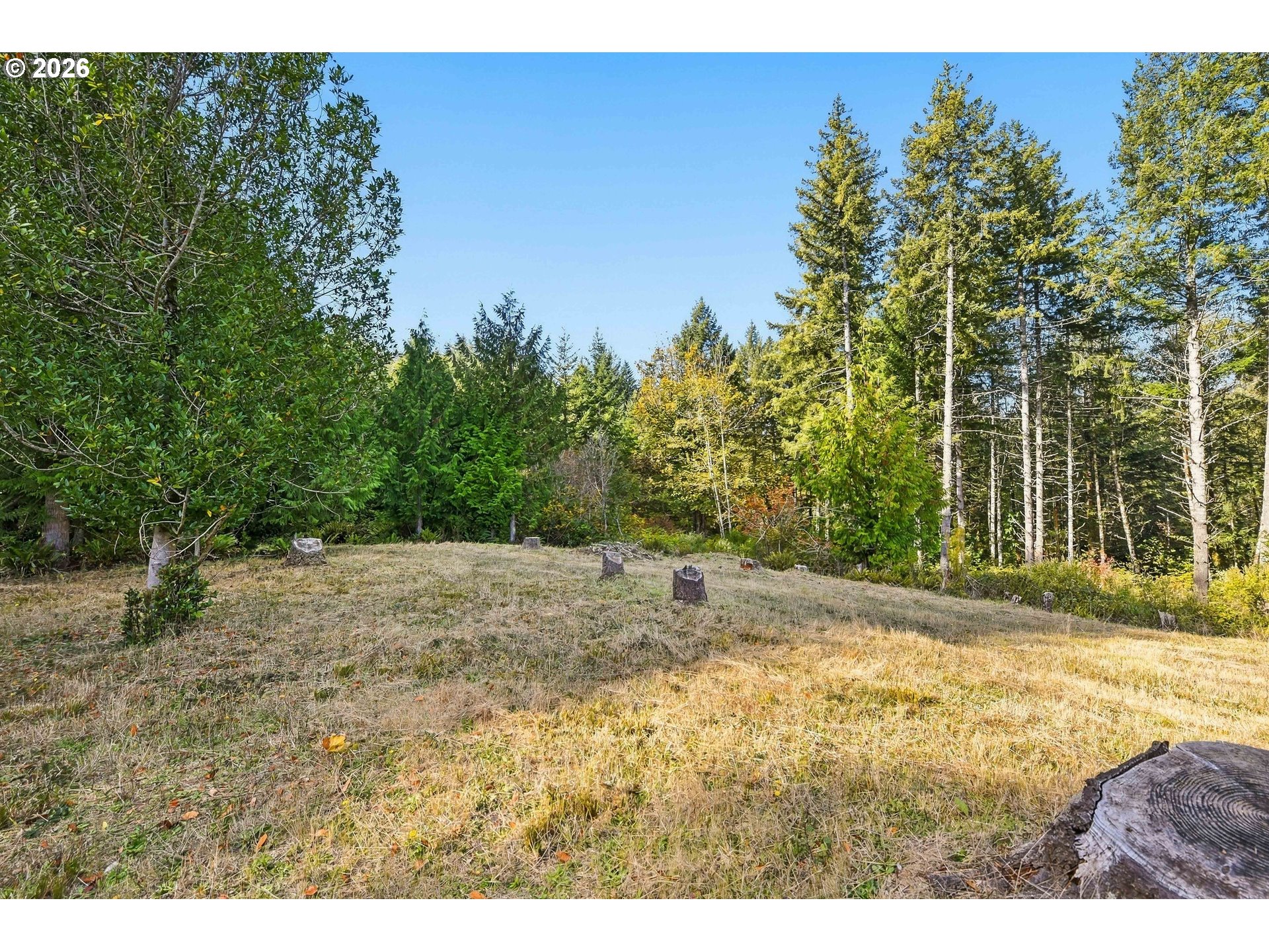 1203 N Crest Rd Property Photo 38