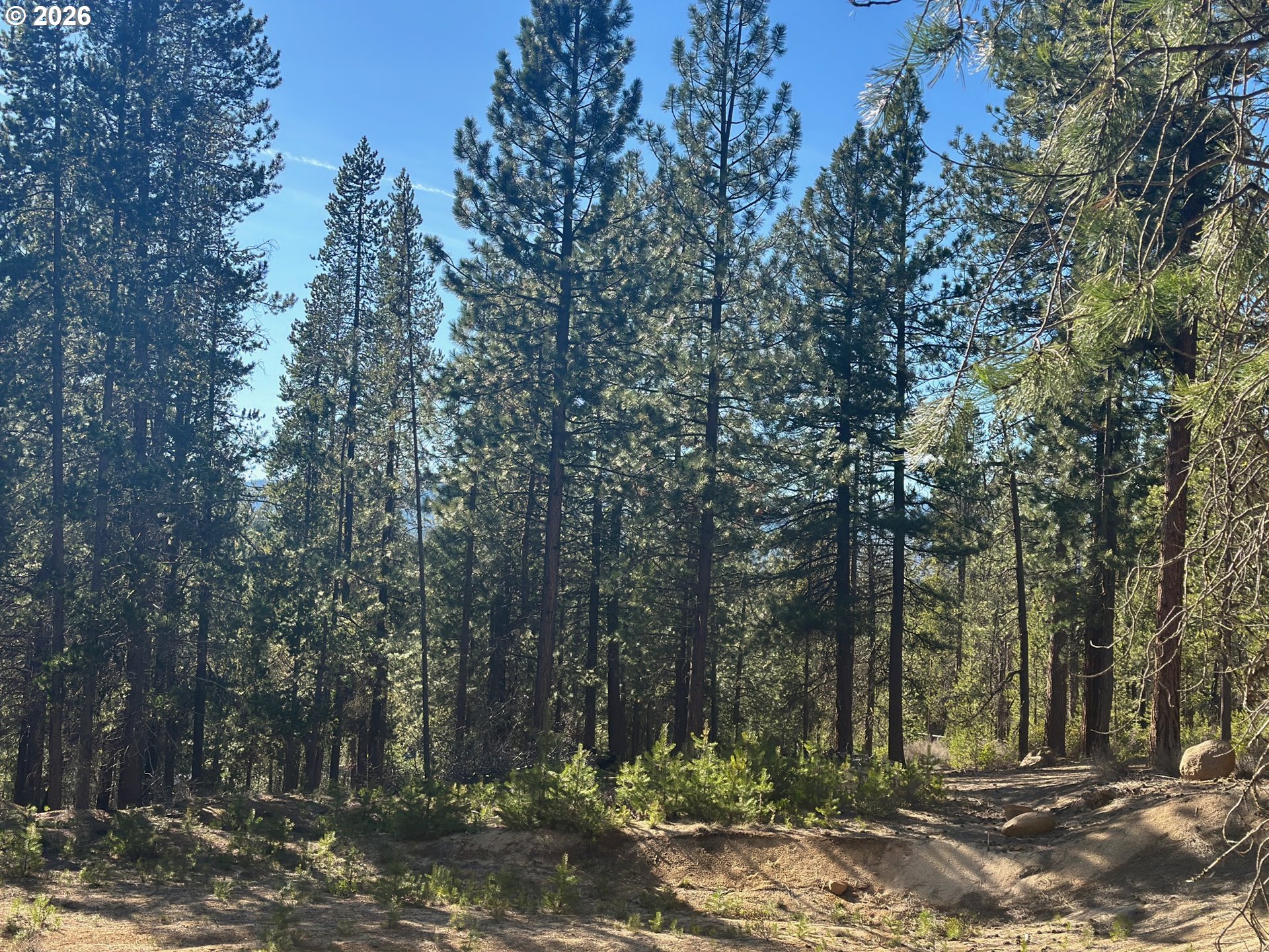 Hwy 58 201 Property Photo 1