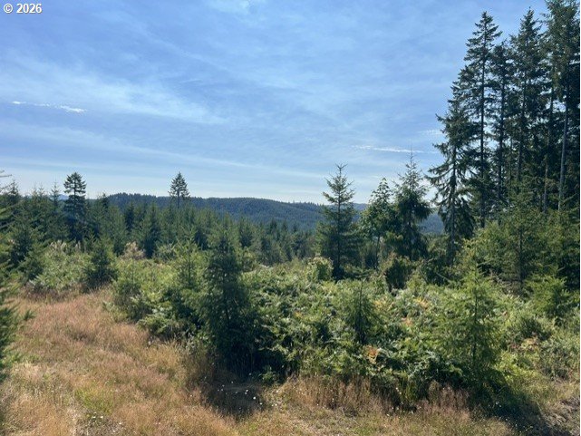 Timber Rd Property Photo 30