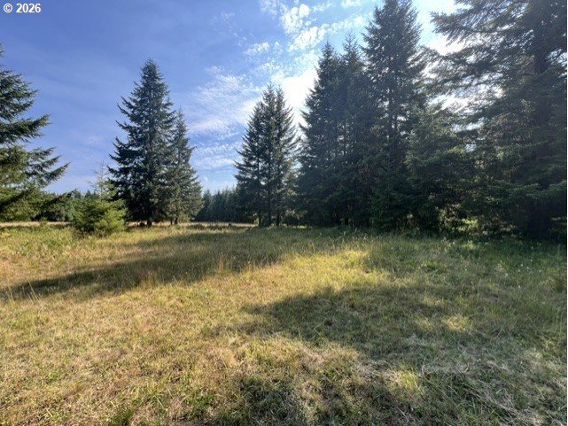 Timber Rd Property Photo 31