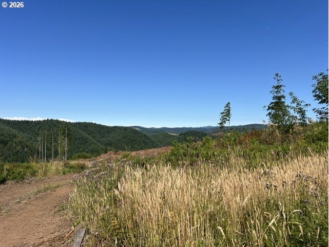 Timber Rd Property Photo 36