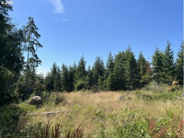 Timber Rd Property Photo 38