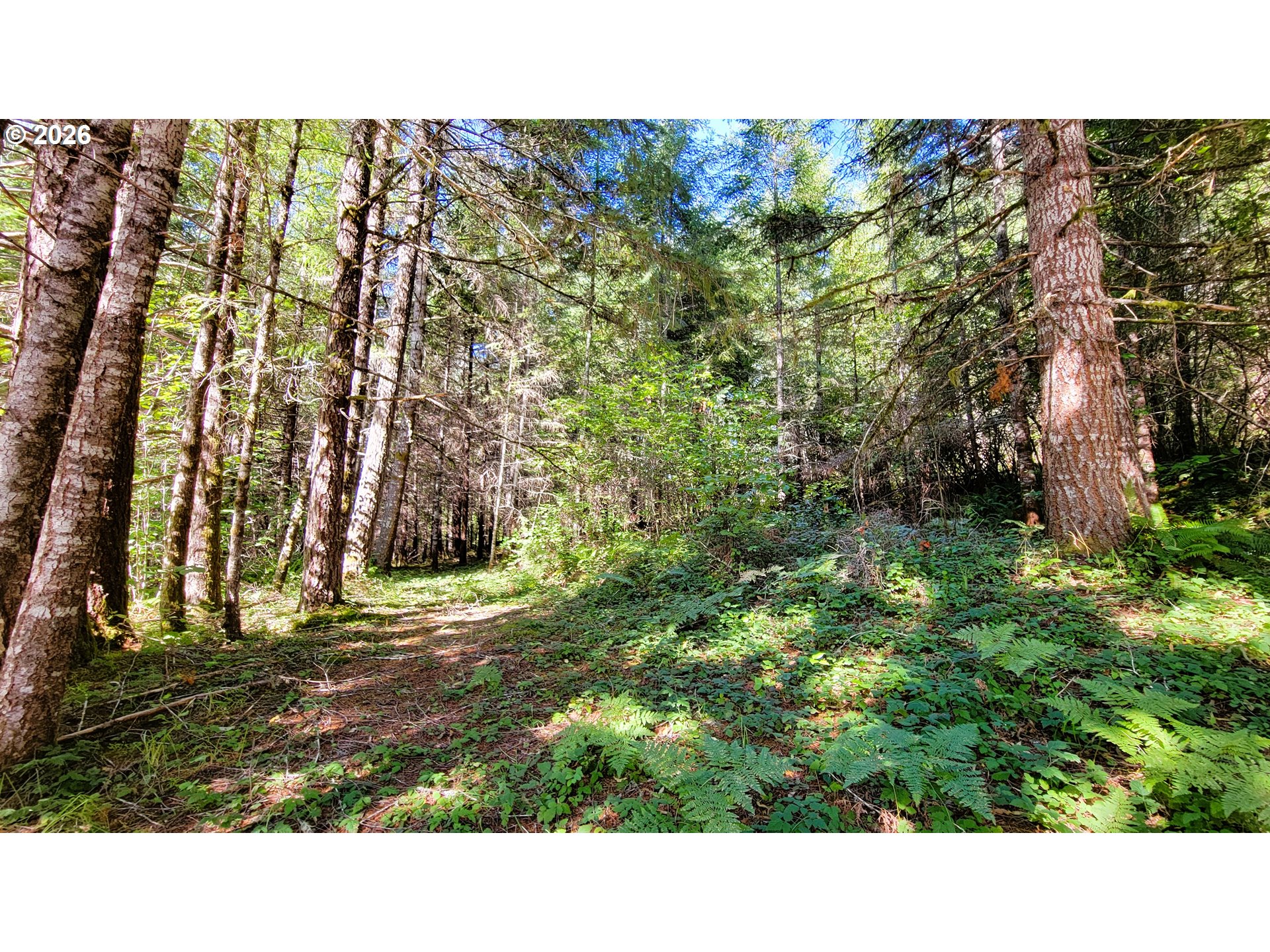 94671 Johnson Rd Property Photo 25