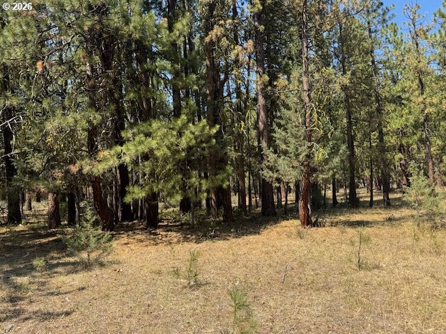 Whitetail Ln Lot 3 Property Photo 1