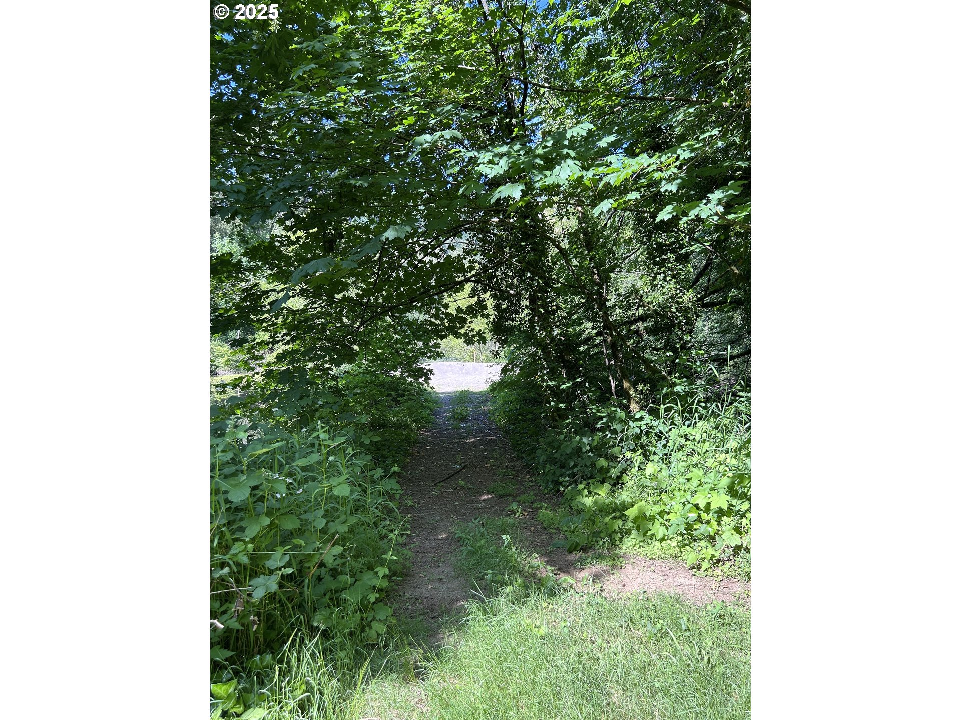 1 E Brightwood Loop Rd Property Photo 12