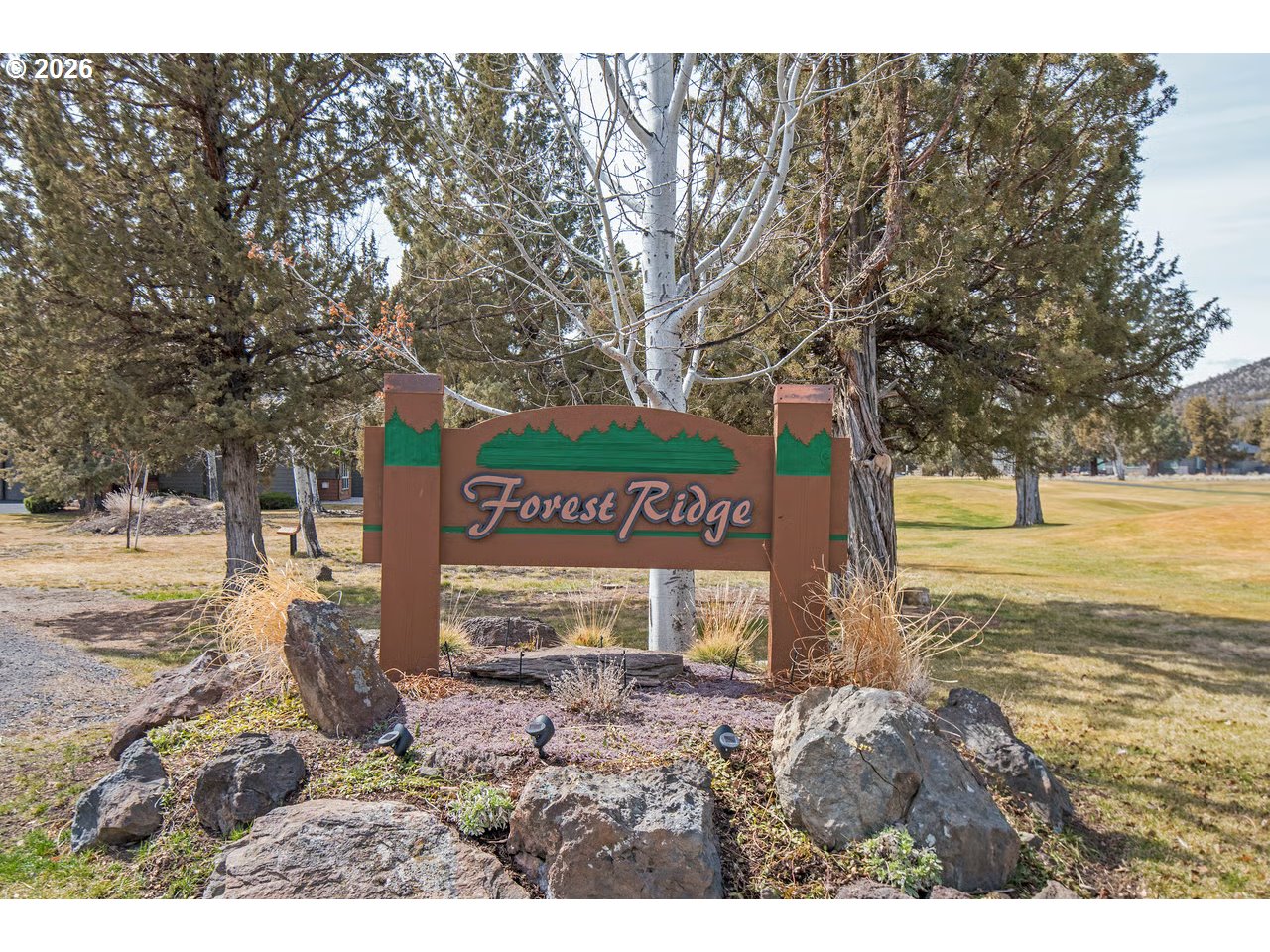8433 Forest Ridge Loop Property Photo 38