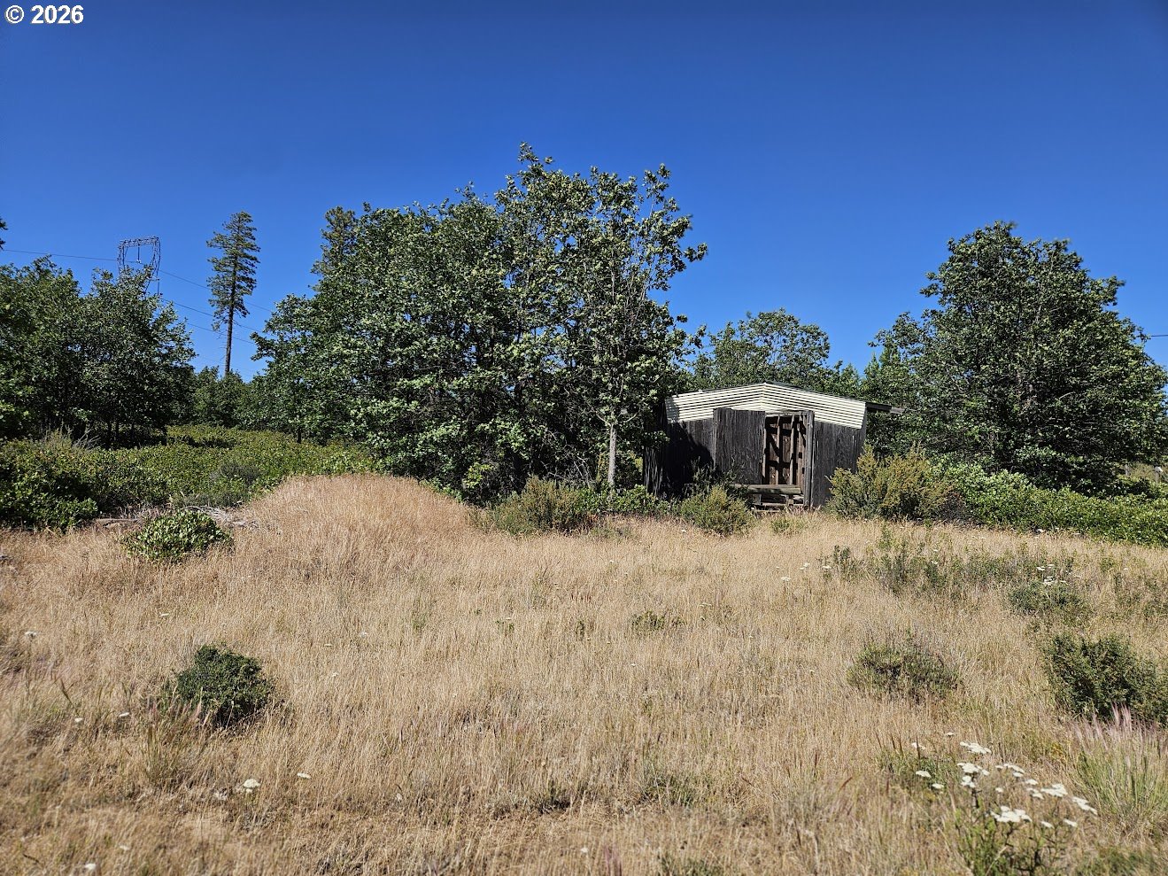 67 Timber Ln Property Photo 18
