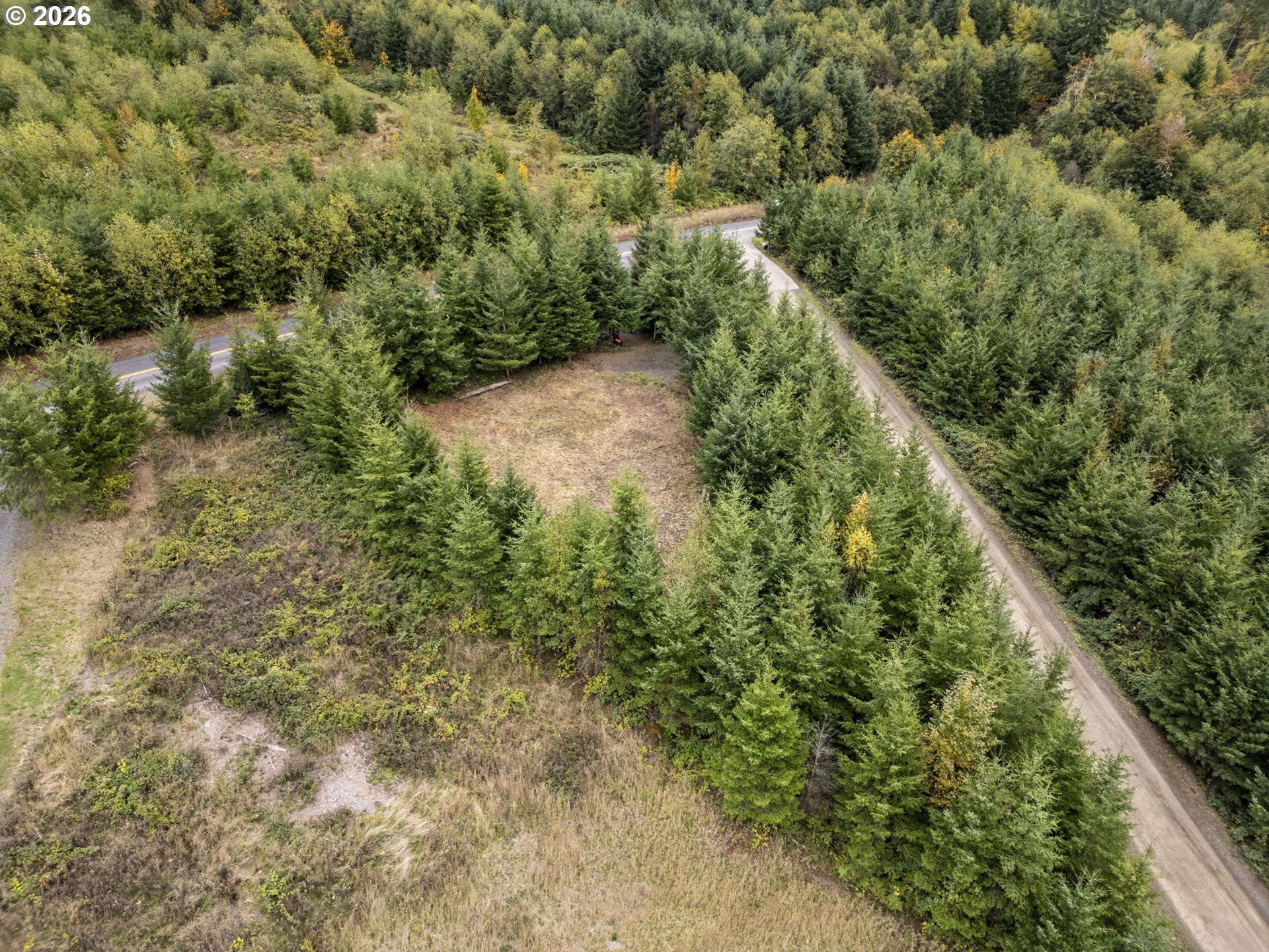 0 N Bootjack Ln Property Photo 3