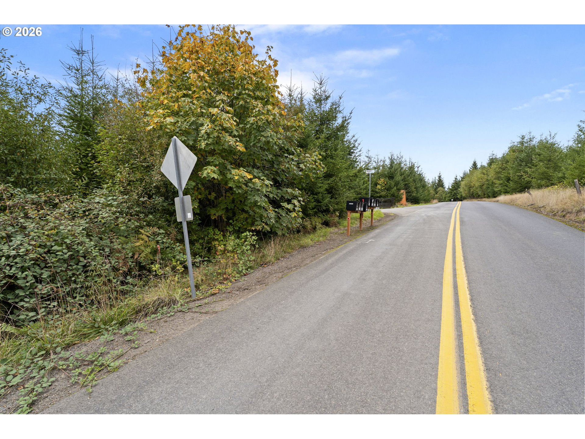 0 N Bootjack Ln Property Photo 4