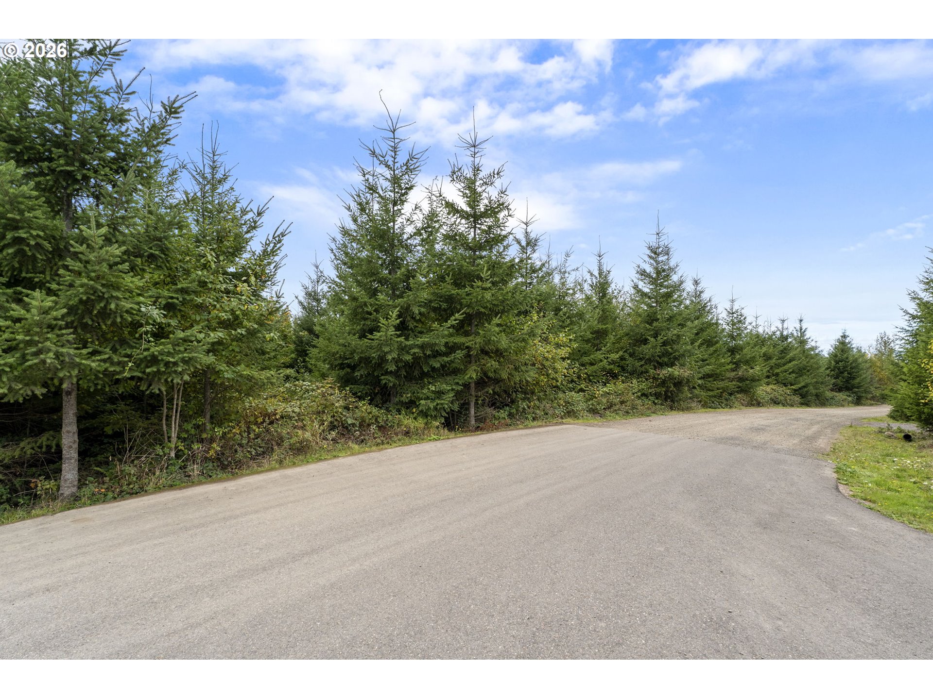 0 N Bootjack Ln Property Photo 8