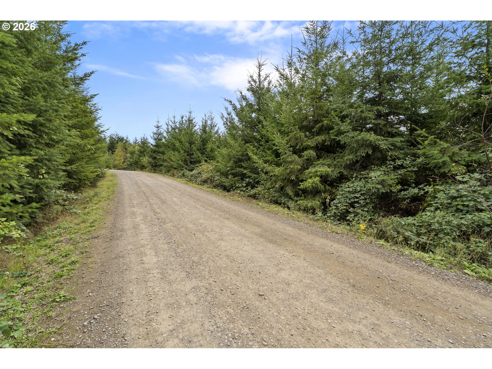 0 N Bootjack Ln Property Photo 9