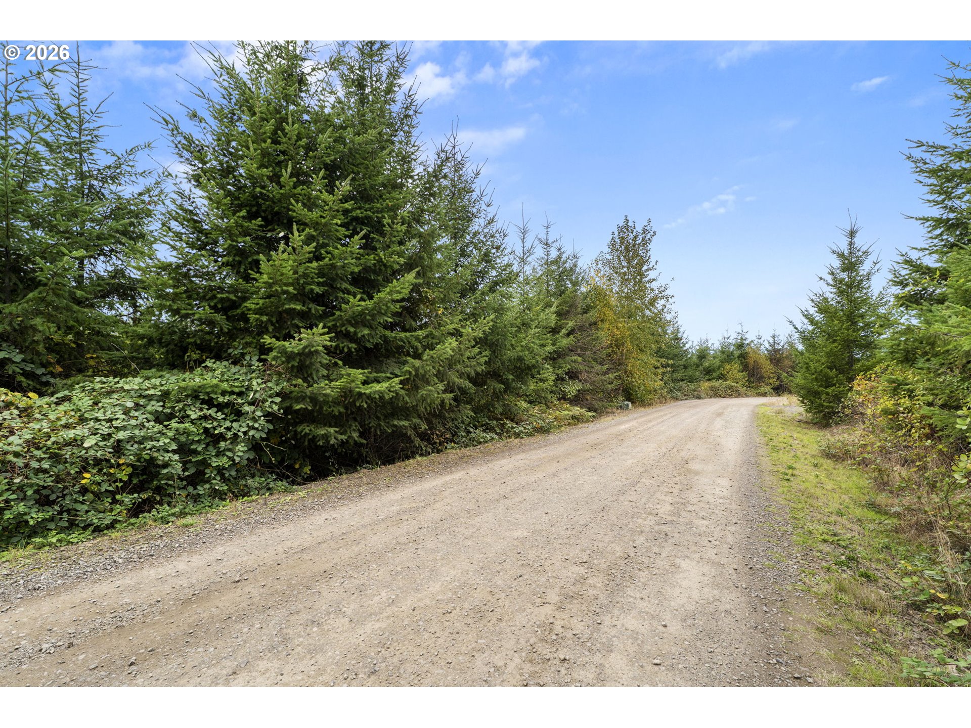 0 N Bootjack Ln Property Photo 10