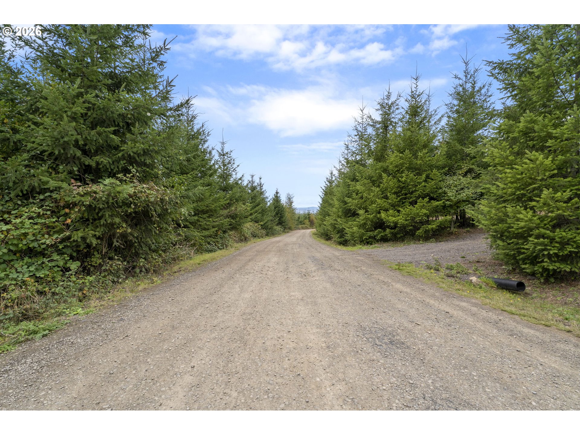 0 N Bootjack Ln Property Photo 11