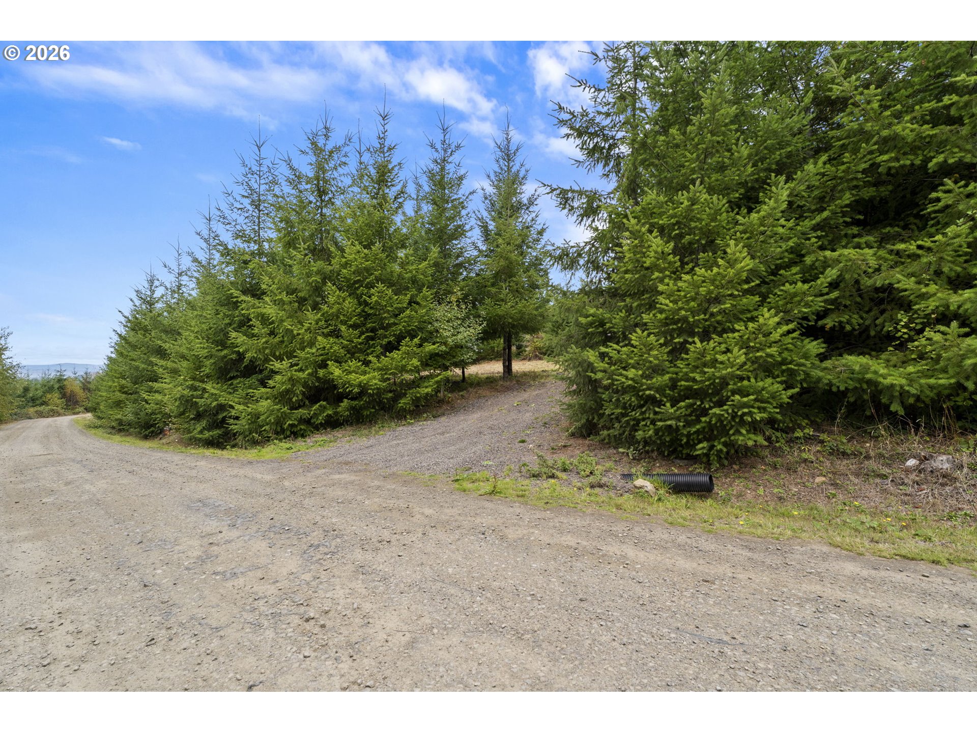0 N Bootjack Ln Property Photo 12
