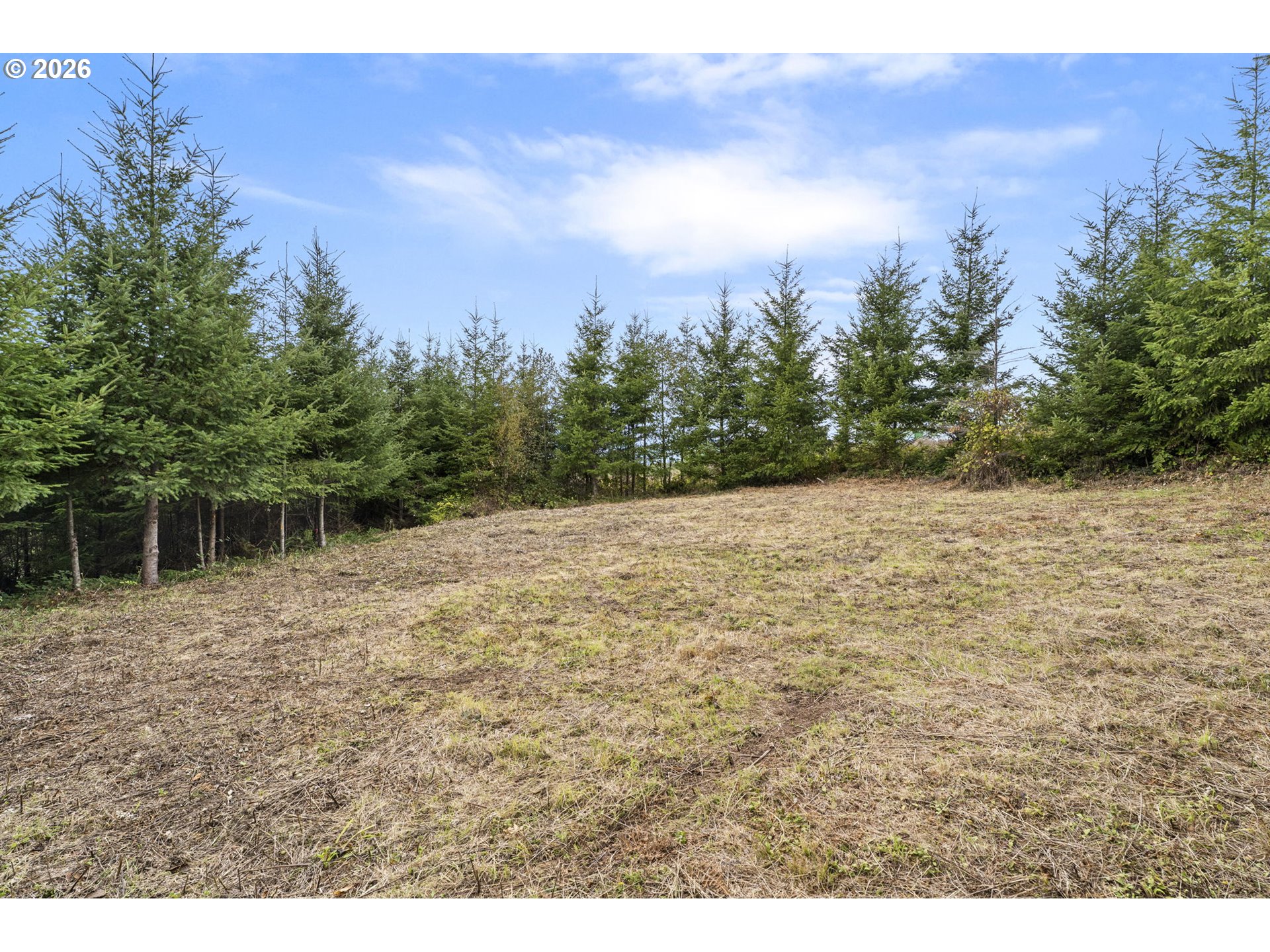 0 N Bootjack Ln Property Photo 15