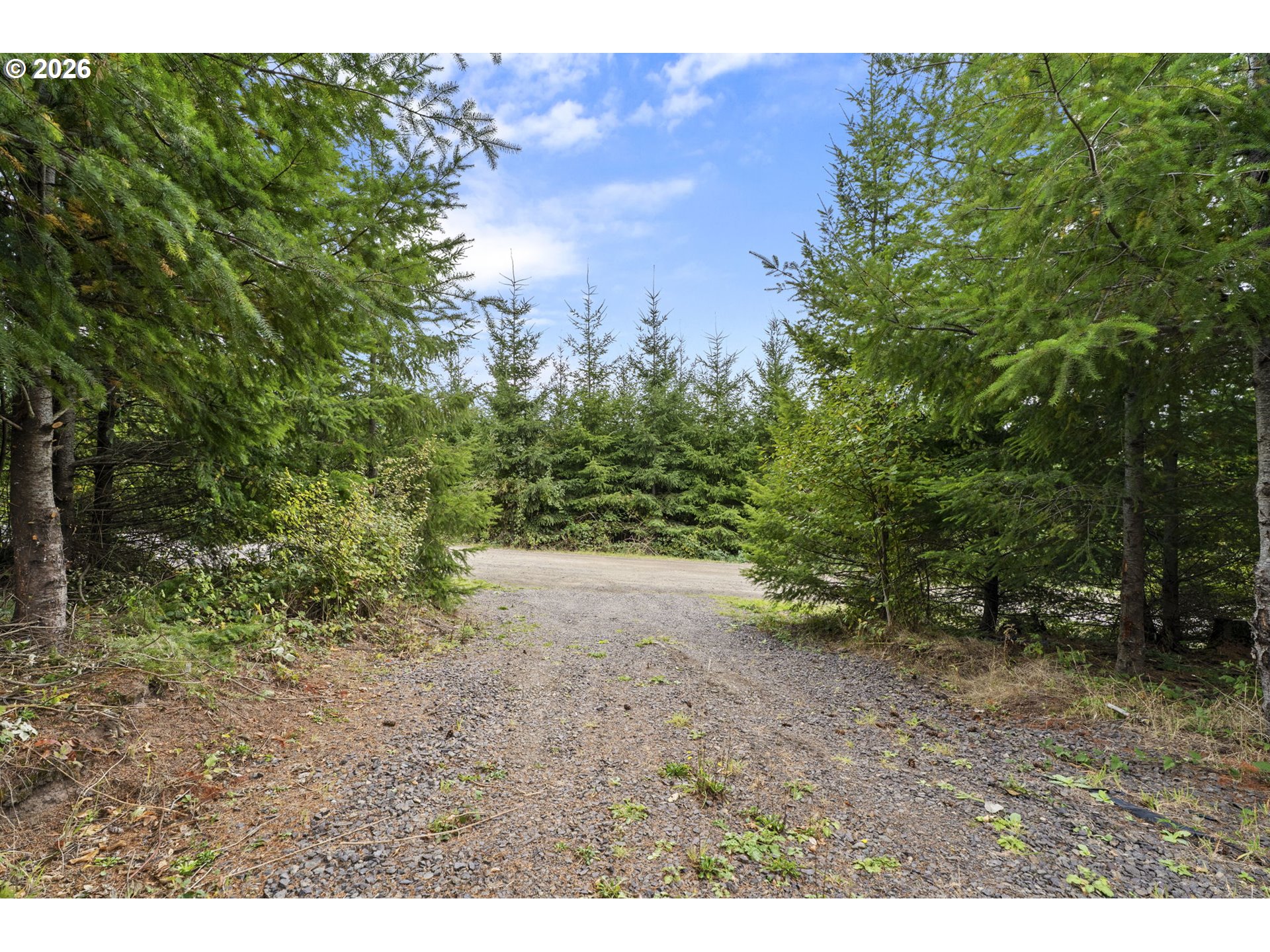 0 N Bootjack Ln Property Photo 16