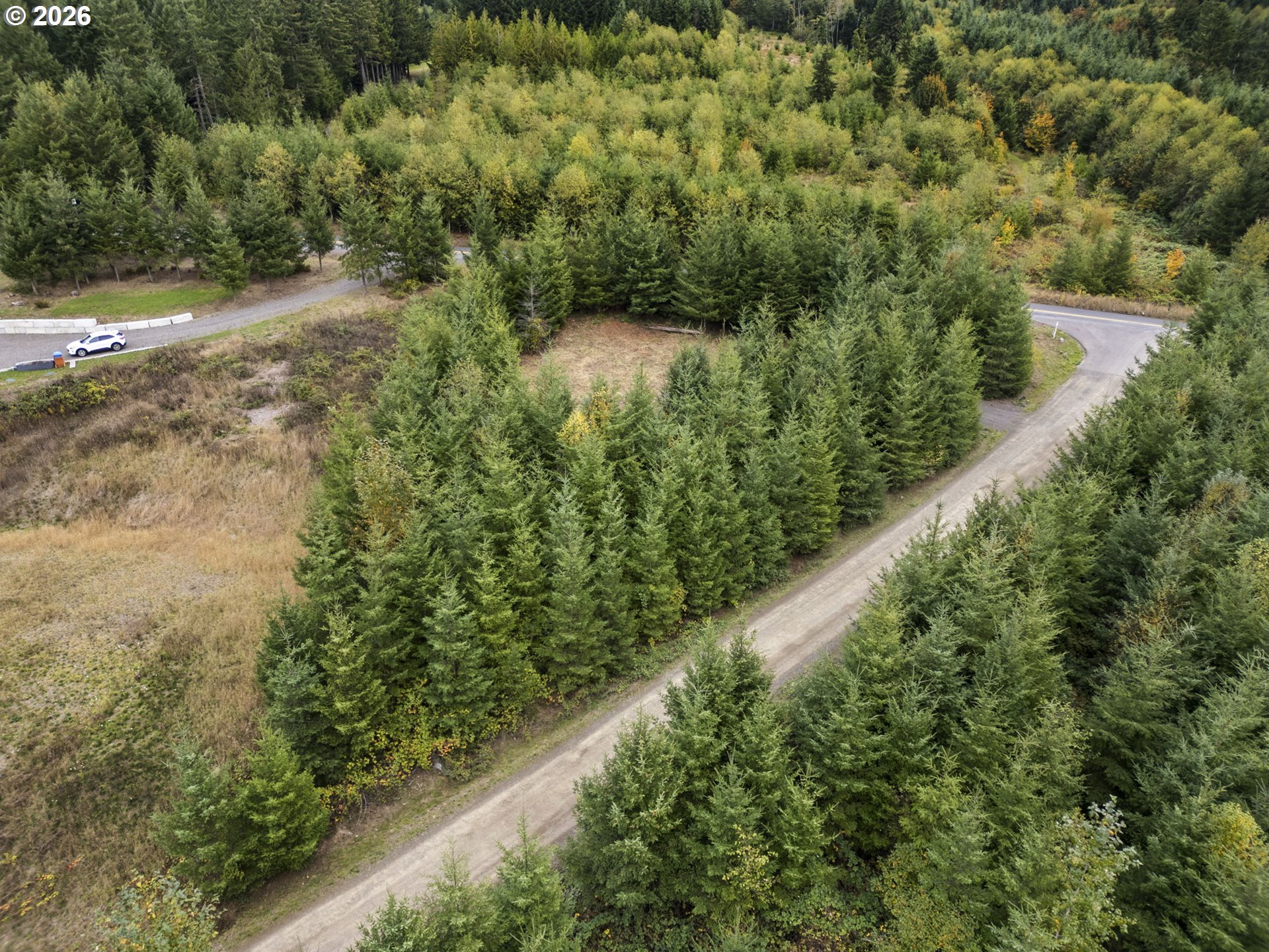 0 N Bootjack Ln Property Photo 30