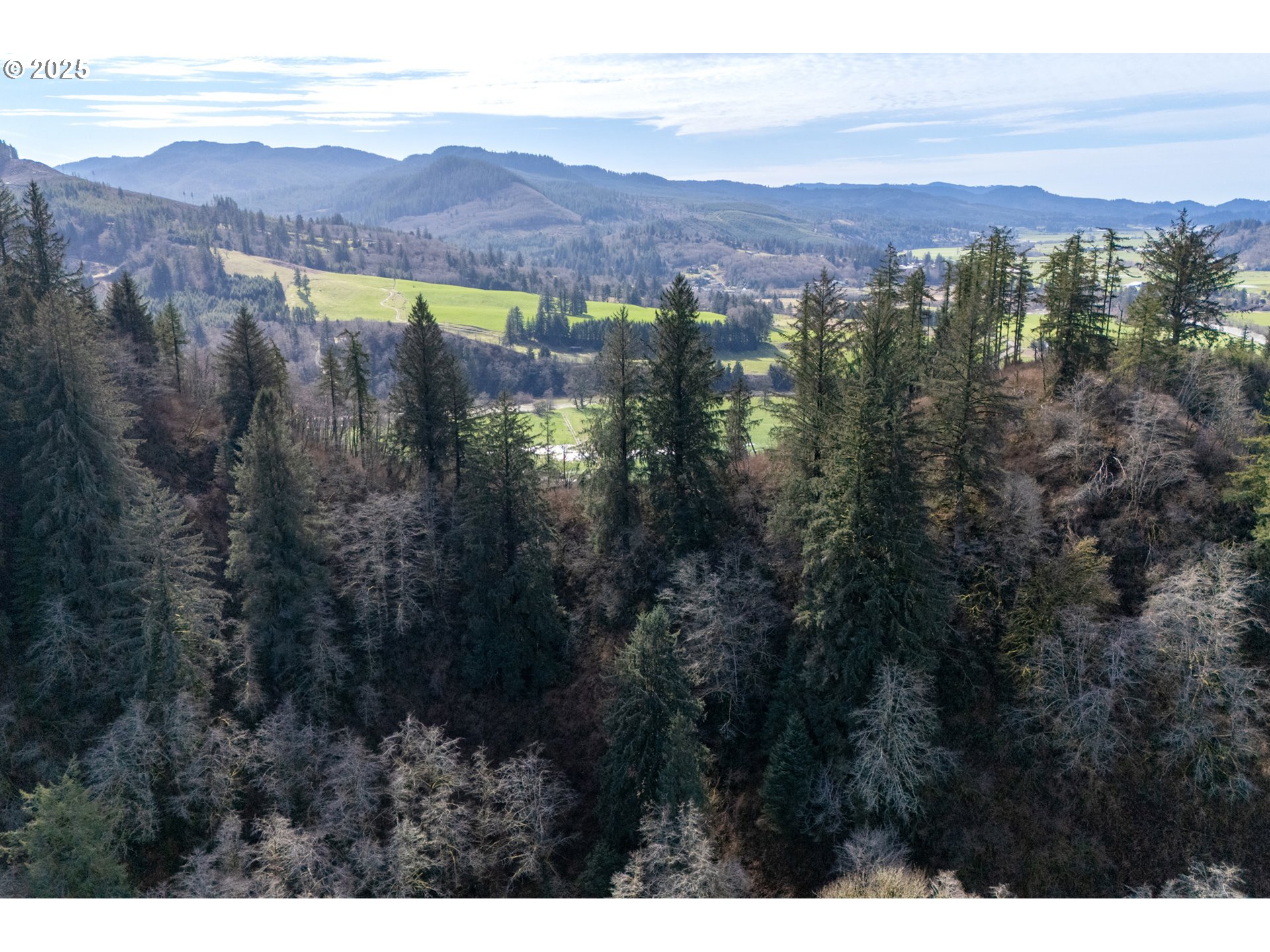 Farmer Creek Rd 1000 Property Photo 6