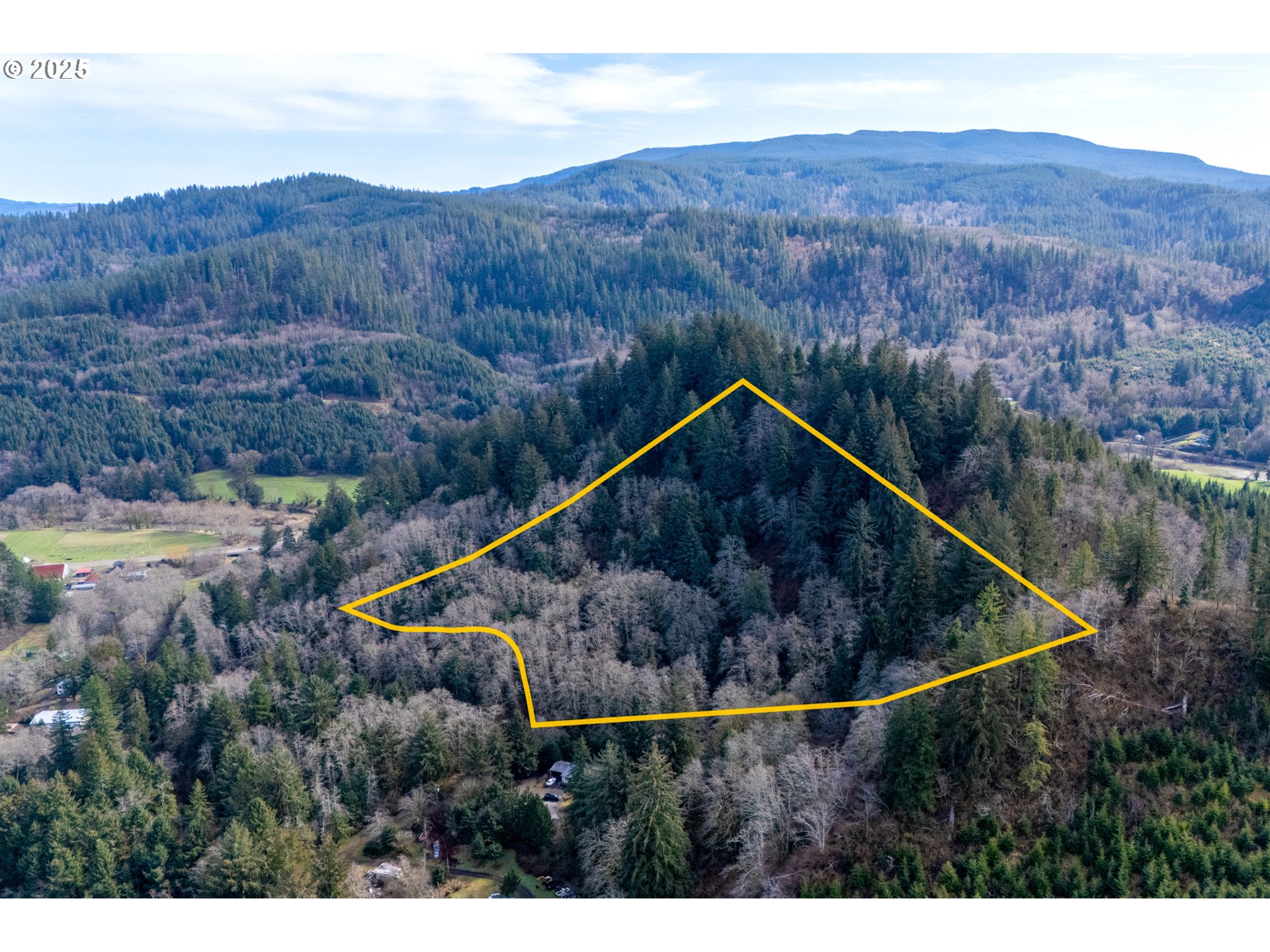 Farmer Creek Rd 1000 Property Photo 10