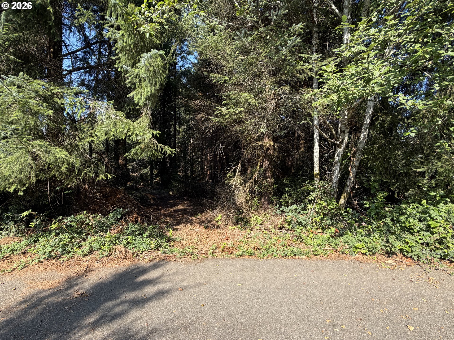 Clear Lake Rd Property Photo 5