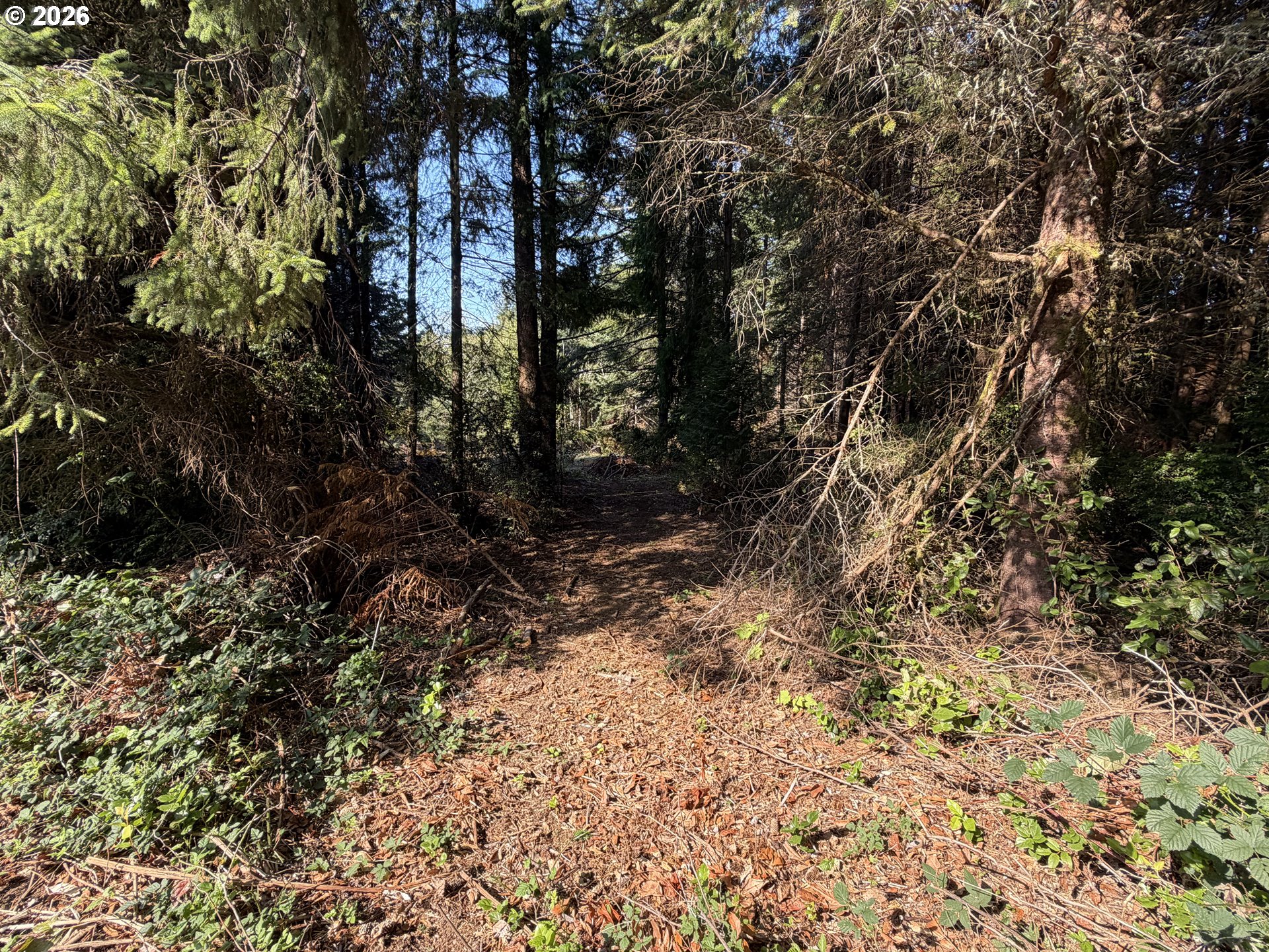 Clear Lake Rd Property Photo 8