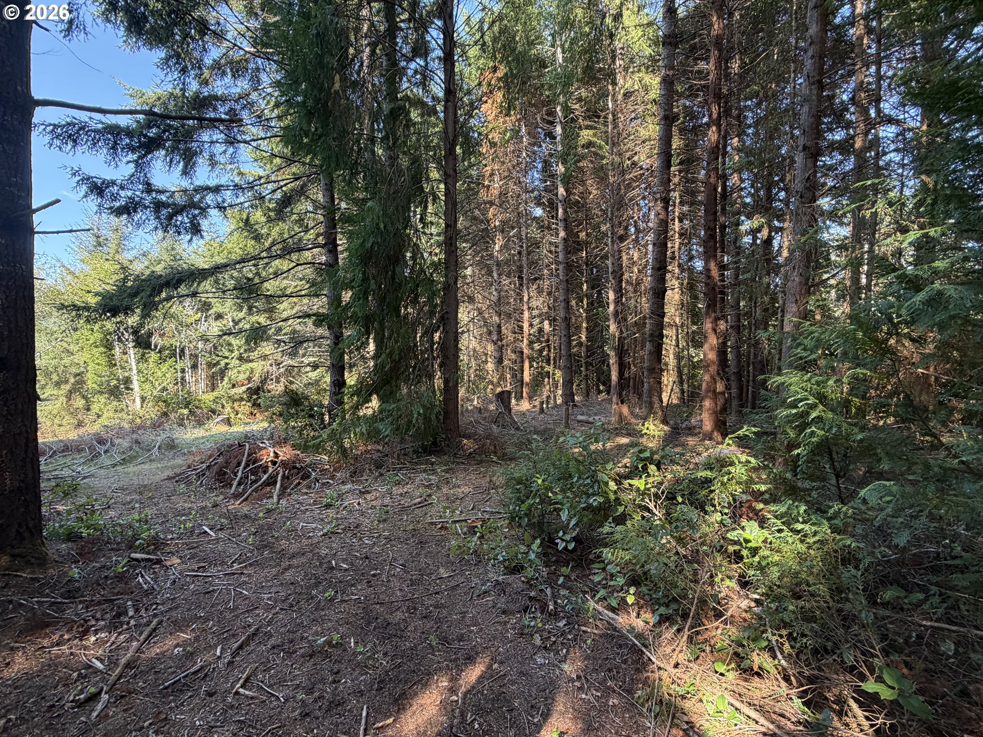 Clear Lake Rd Property Photo 10