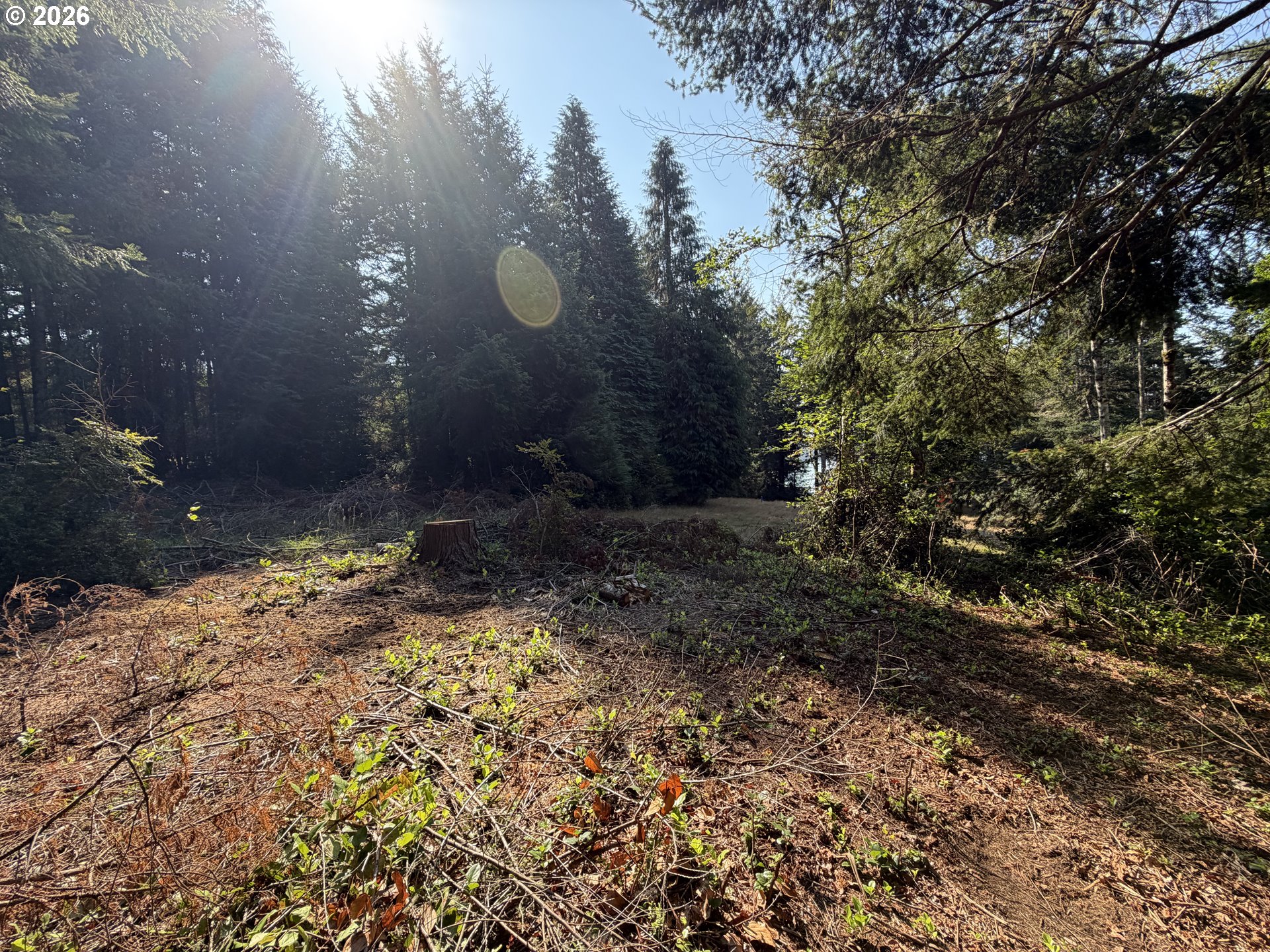 Clear Lake Rd Property Photo 12