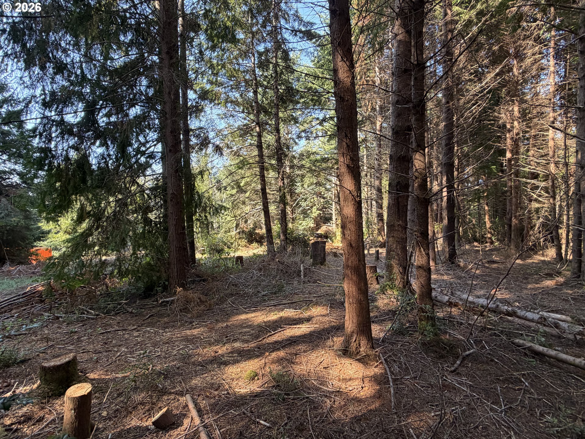 Clear Lake Rd Property Photo 14