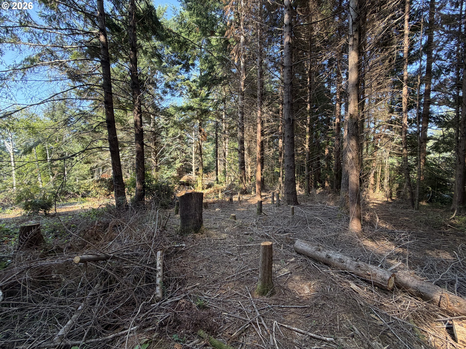 Clear Lake Rd Property Photo 15