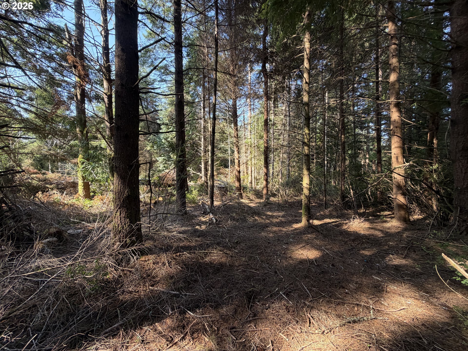 Clear Lake Rd Property Photo 17